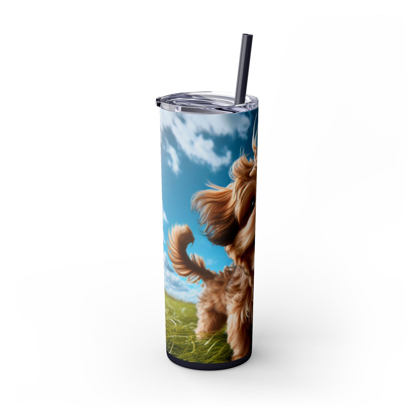Kaikadi Tumbler with Straw, 20oz