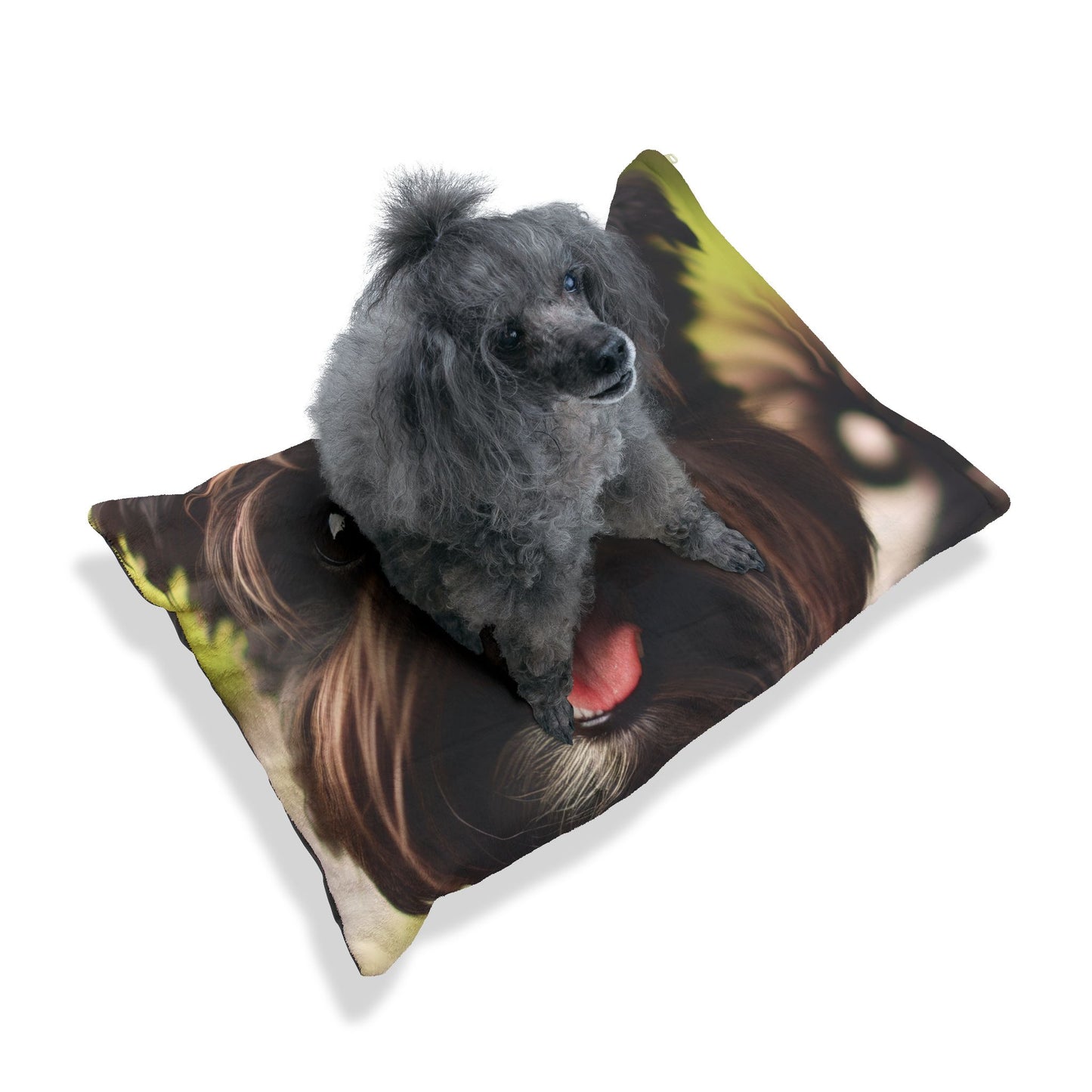 Affenpinscher Pet Bed