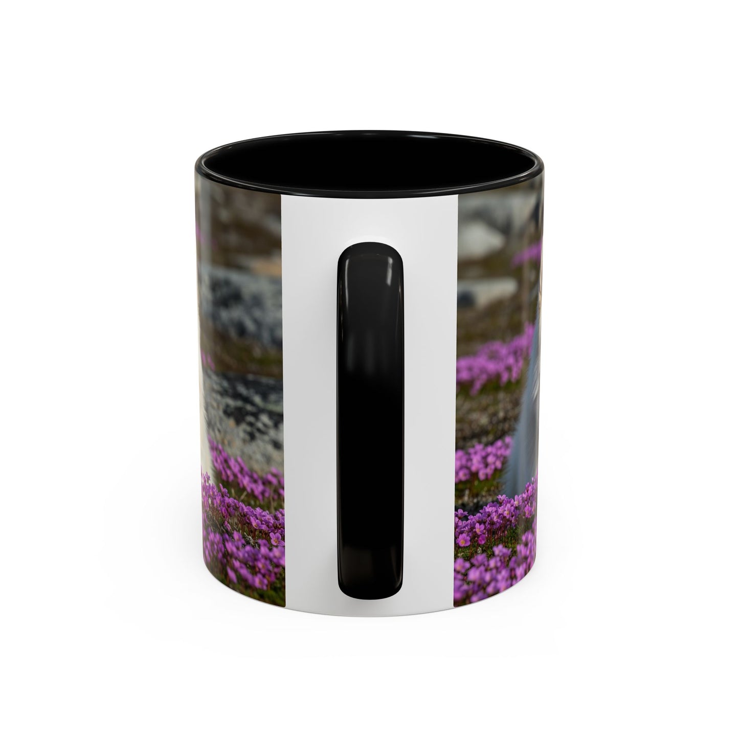 Canadian Eskimo Dog Accent Coffee Mug - Perfect Gift for Dog Lovers