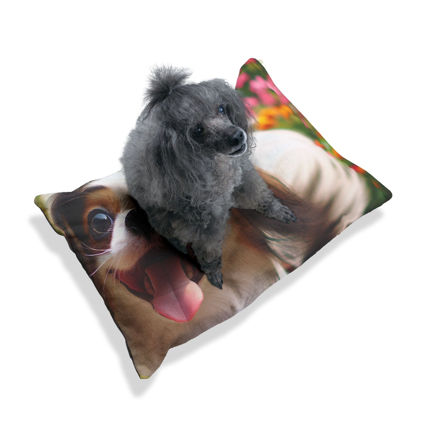 Japanese Chin Pet Bed