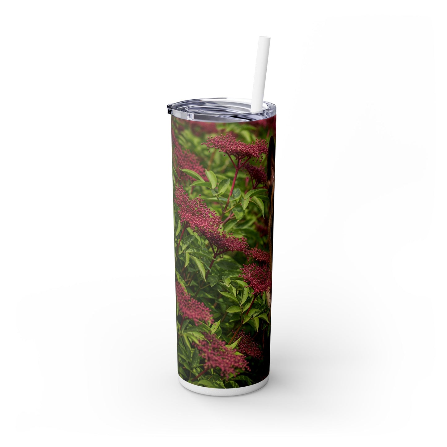 Belgian Shepherd Dog Malinois Tumbler with Straw, 20oz