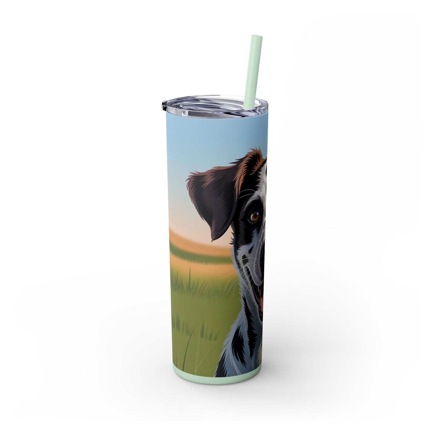 Telomian Skinny Tumbler with Straw, 20oz