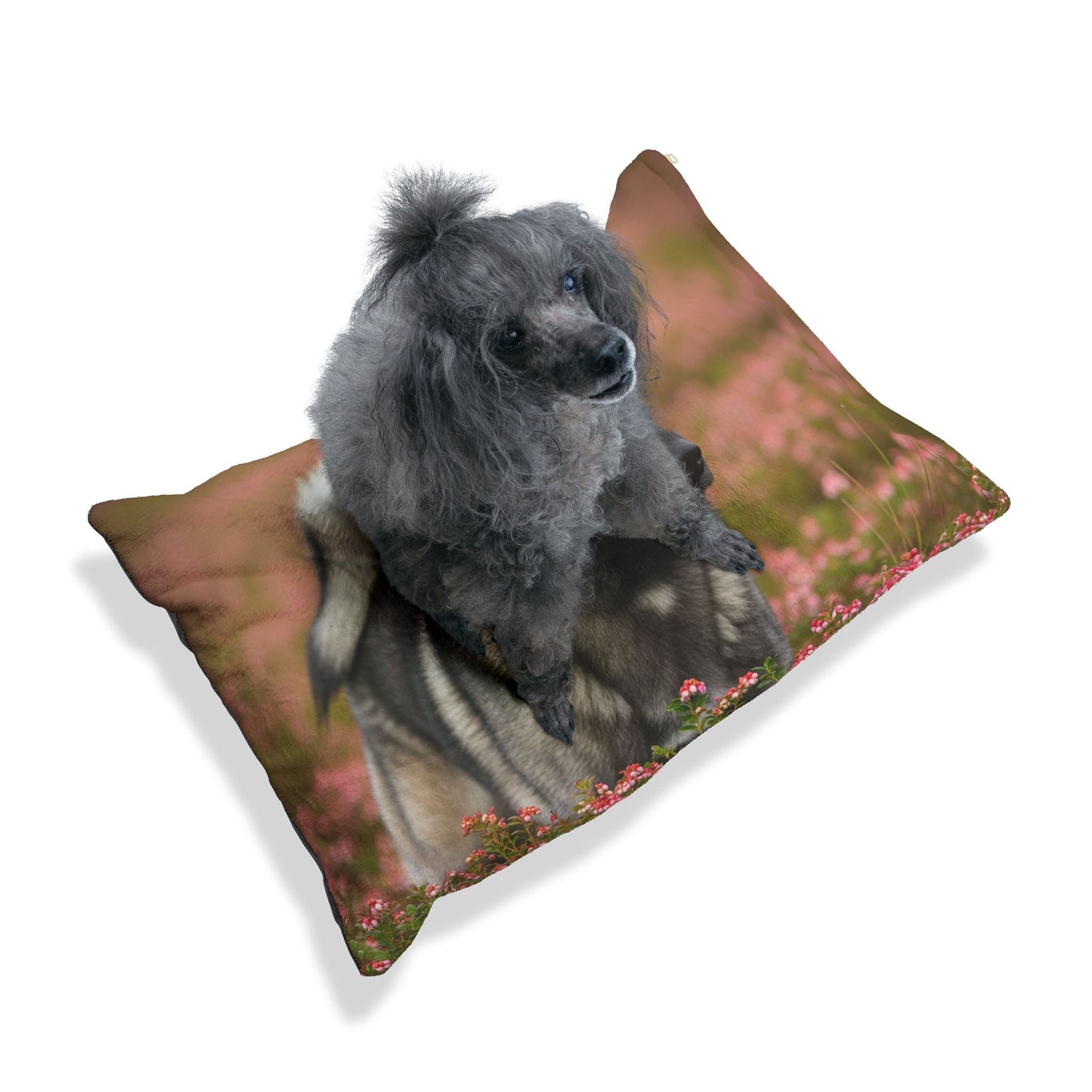 Norwegian Elkhound Pet Bed