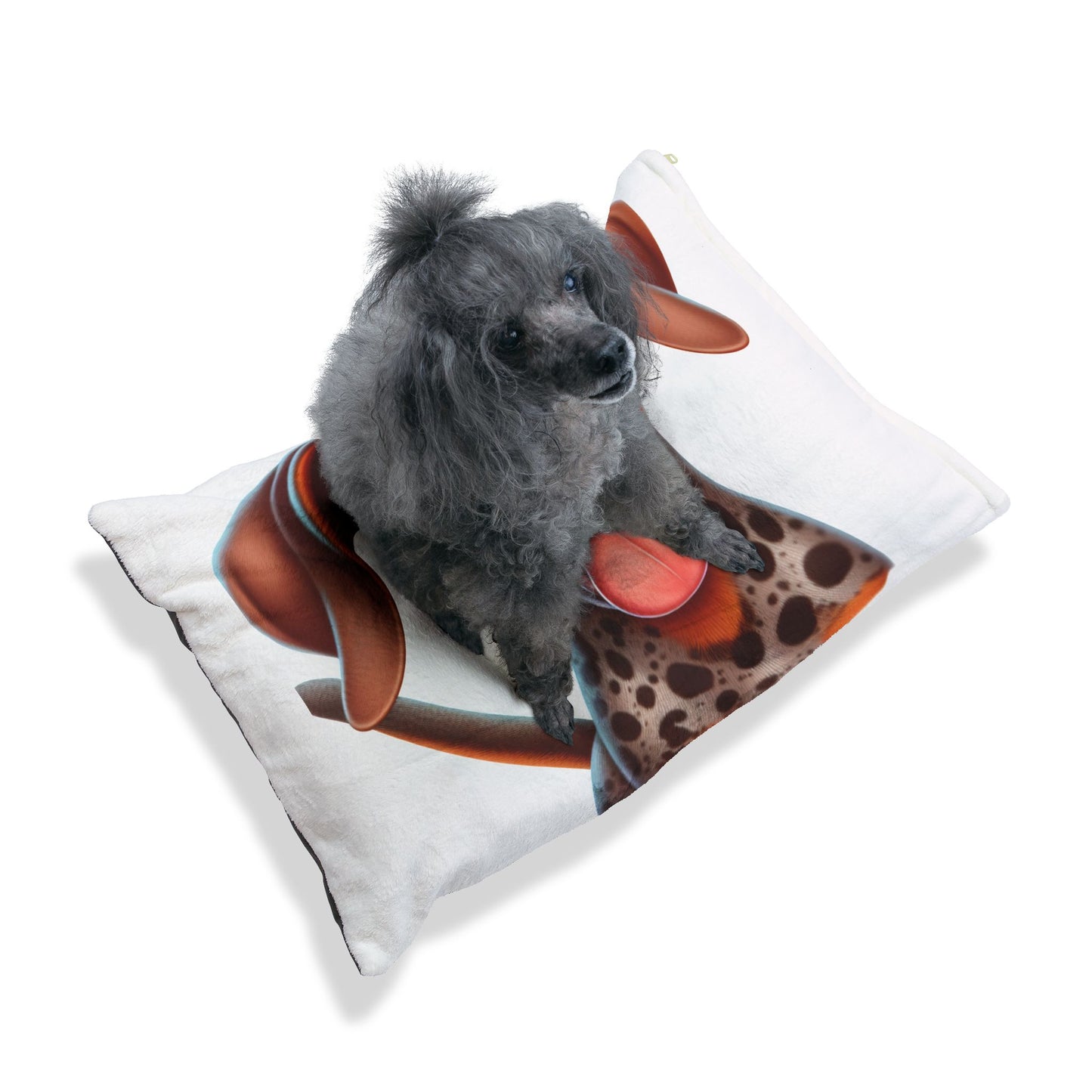 Braque du Bourbonnais Pet Bed