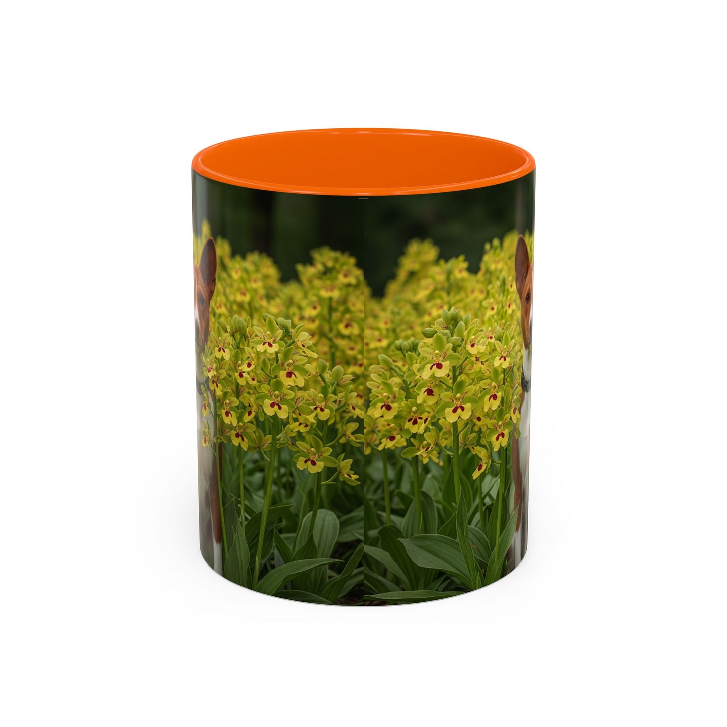 Basenji Accent Coffee Mug - Perfect Gift for Dog Lovers