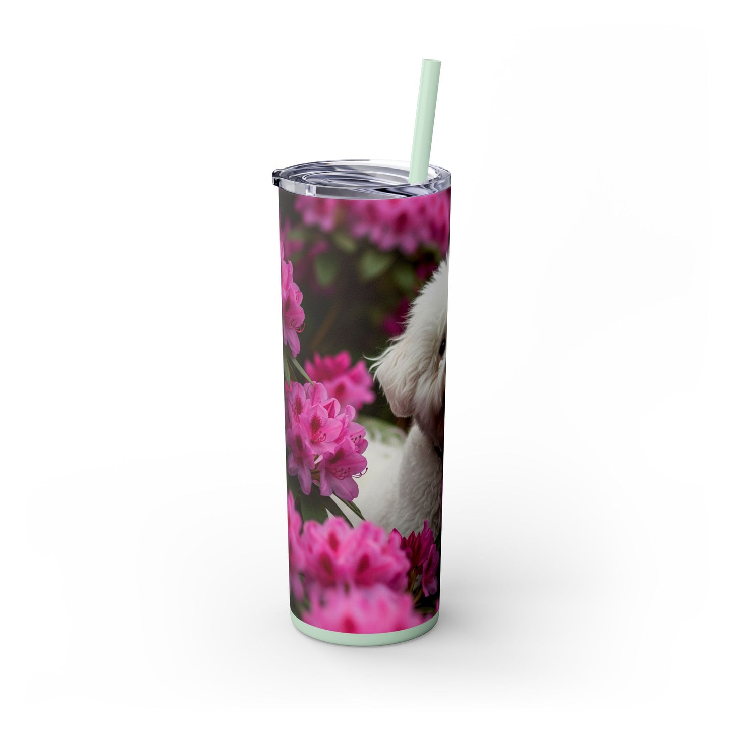 Bichon Frise Tumbler with Straw, 20oz