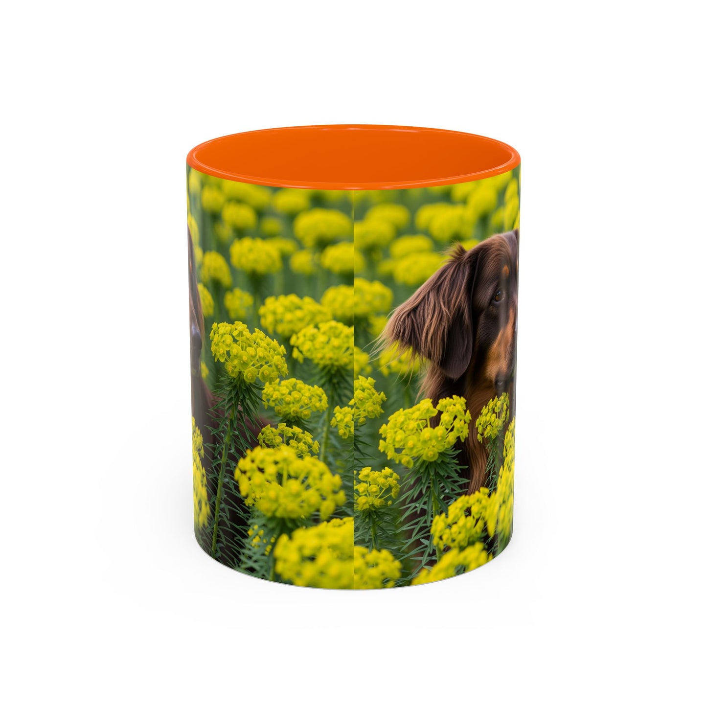 Hovawart Accent Coffee Mug - Perfect Gift for Dog Lovers
