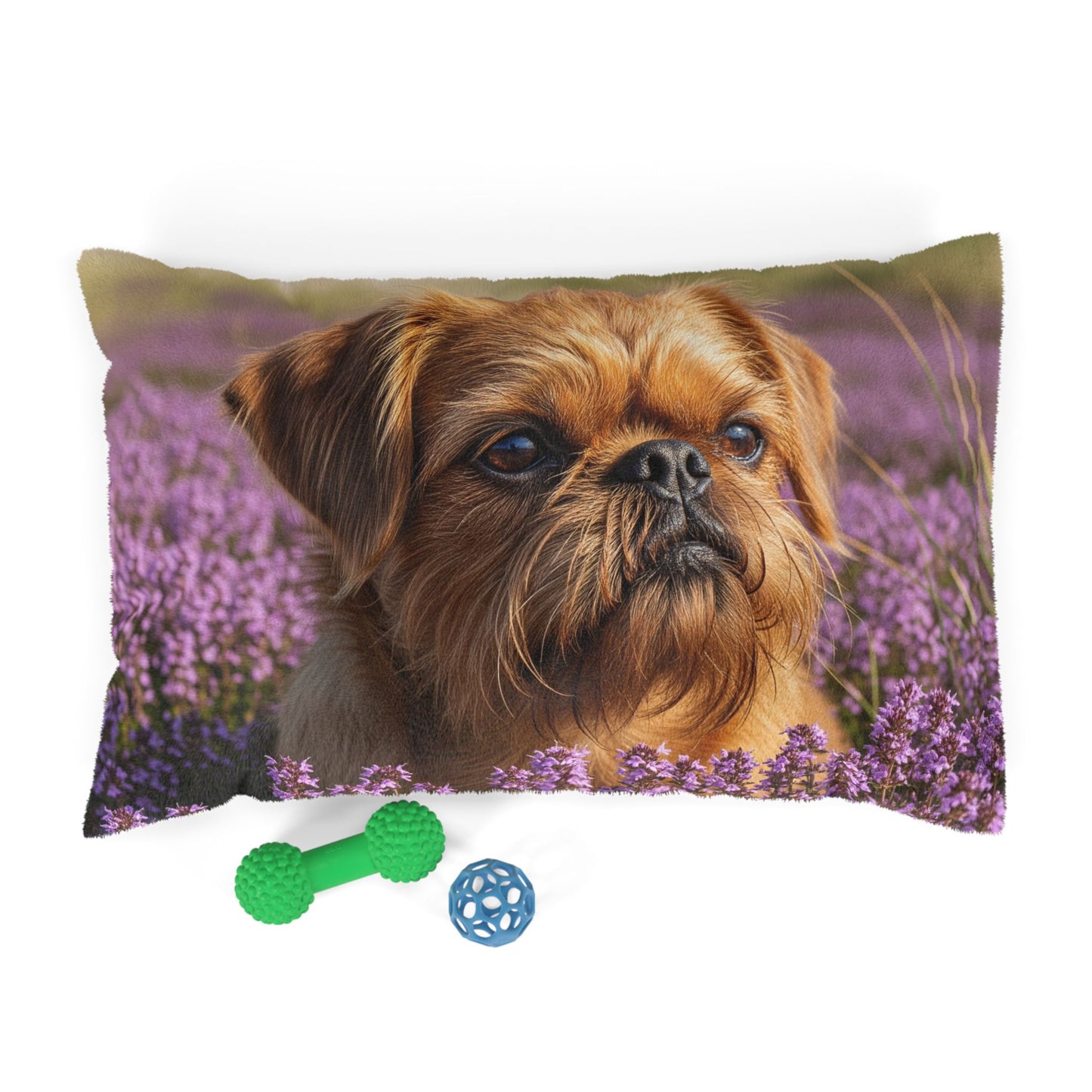 Griffon Bruxellois Pet Bed