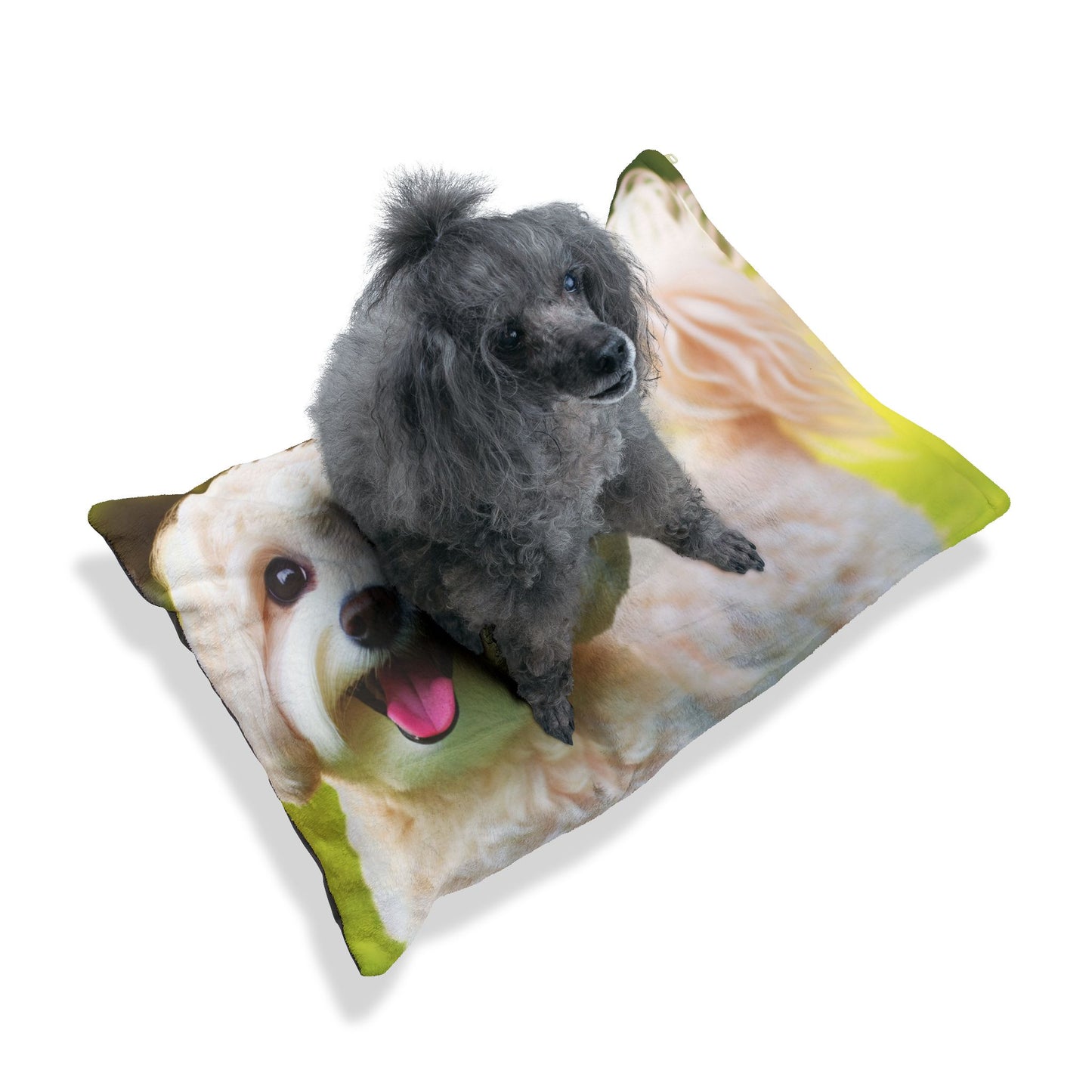 Maltipoo Pet Bed