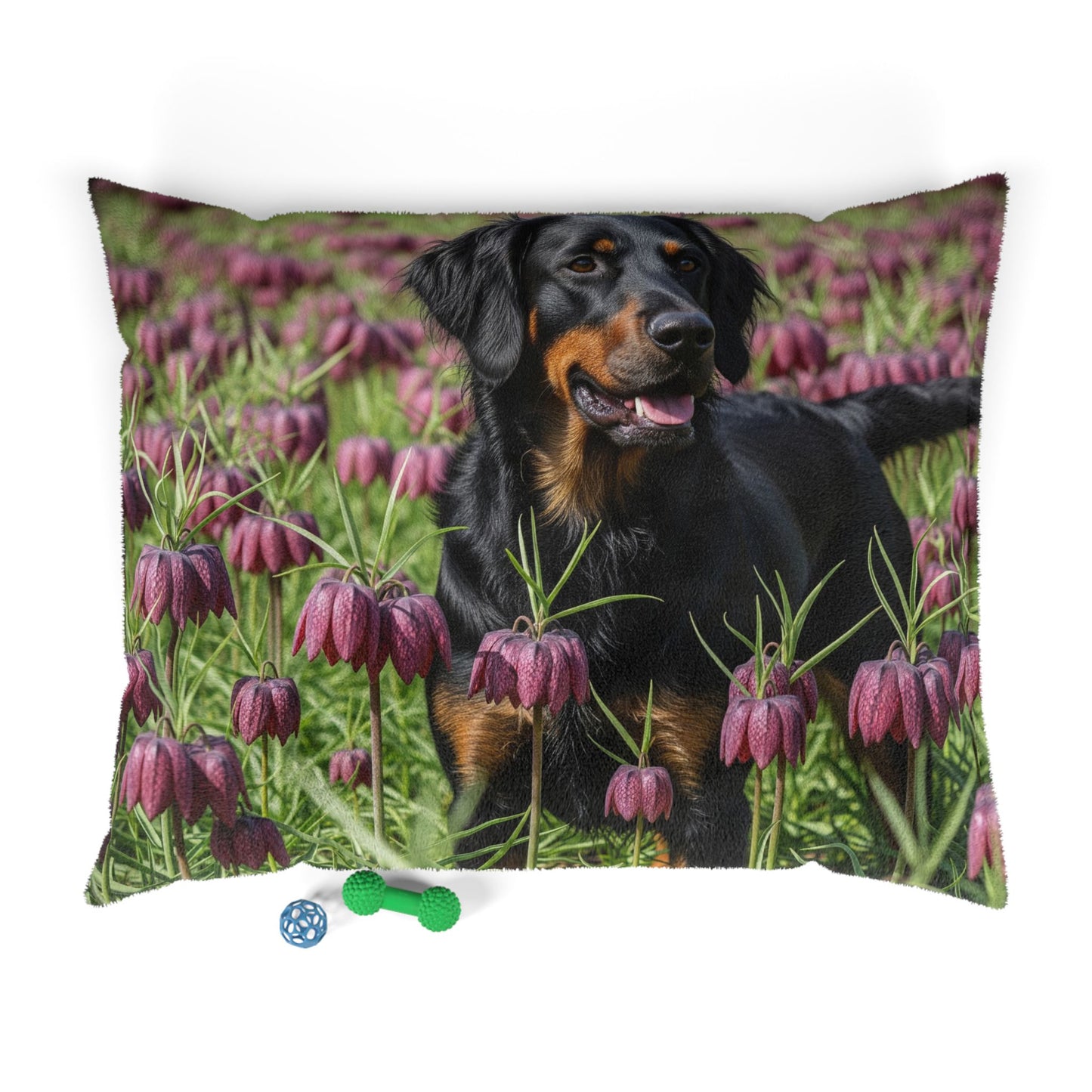 Wetterhoun Pet Bed
