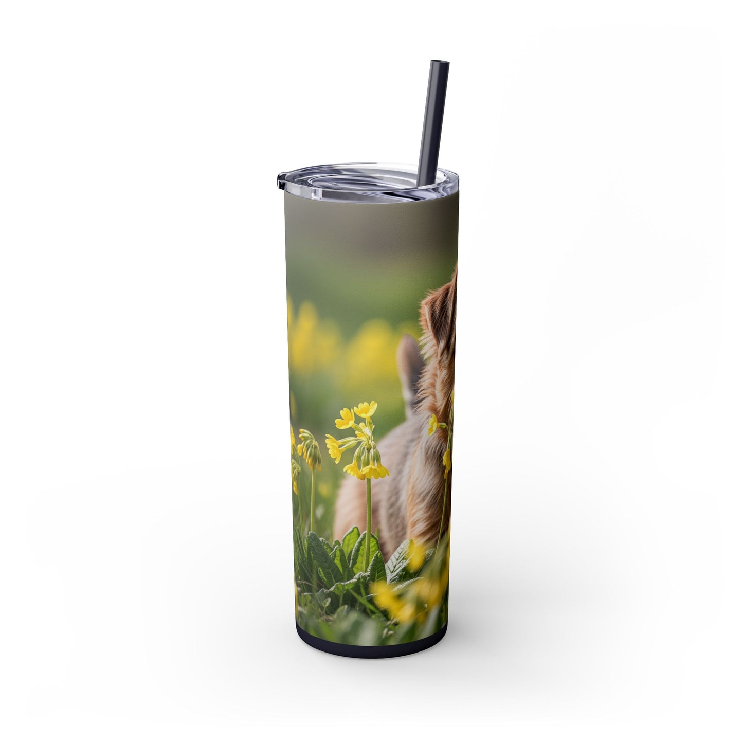 Norfolk Terrier Skinny Tumbler with Straw, 20oz