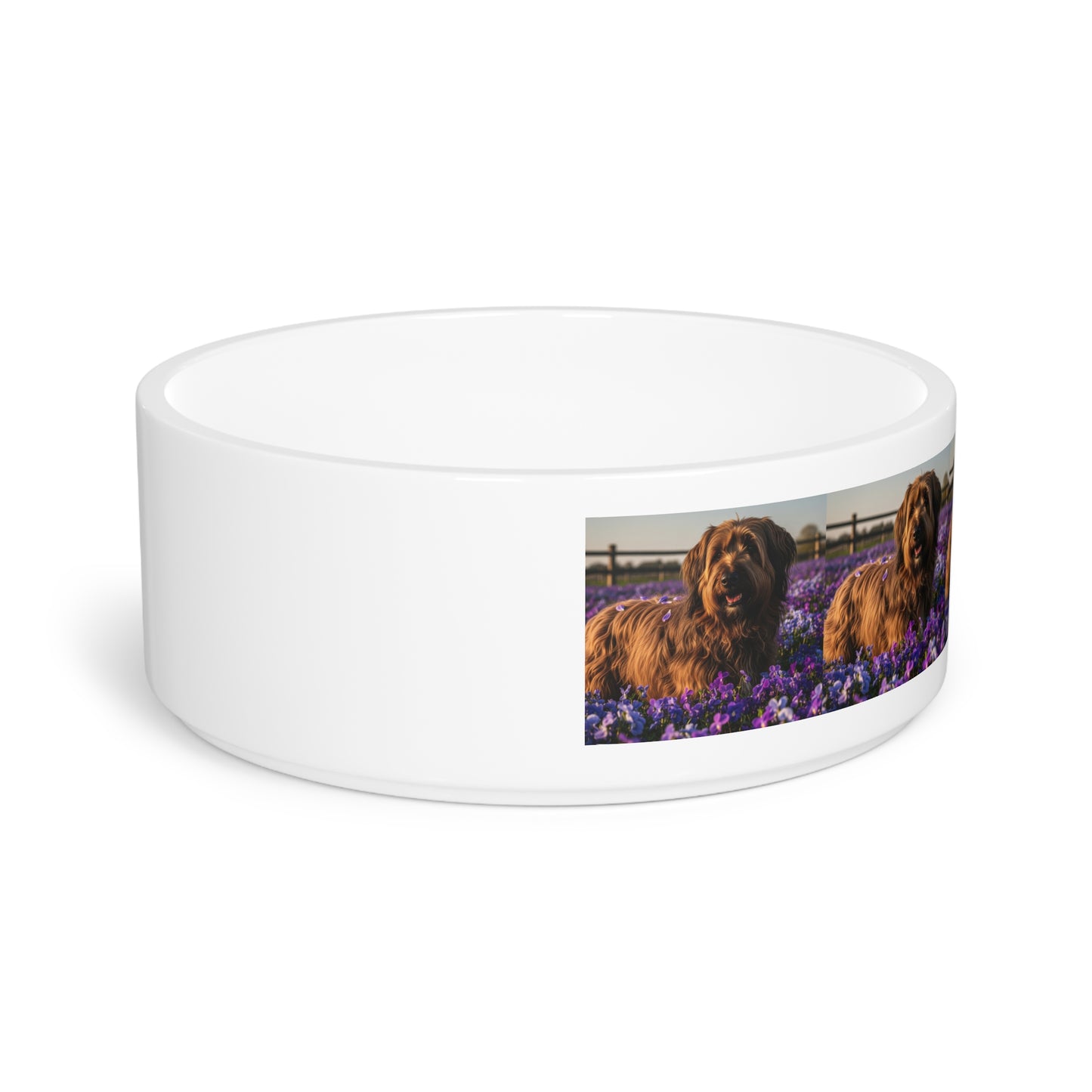 Briard Pet Bowl
