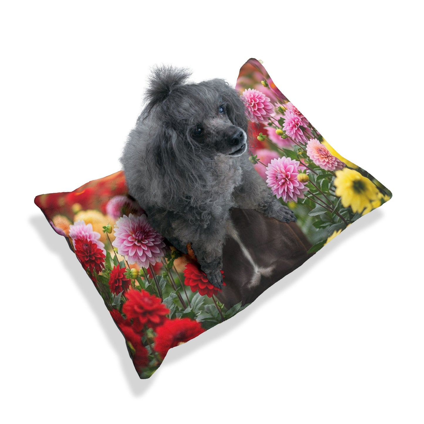 Calupoh Pet Bed