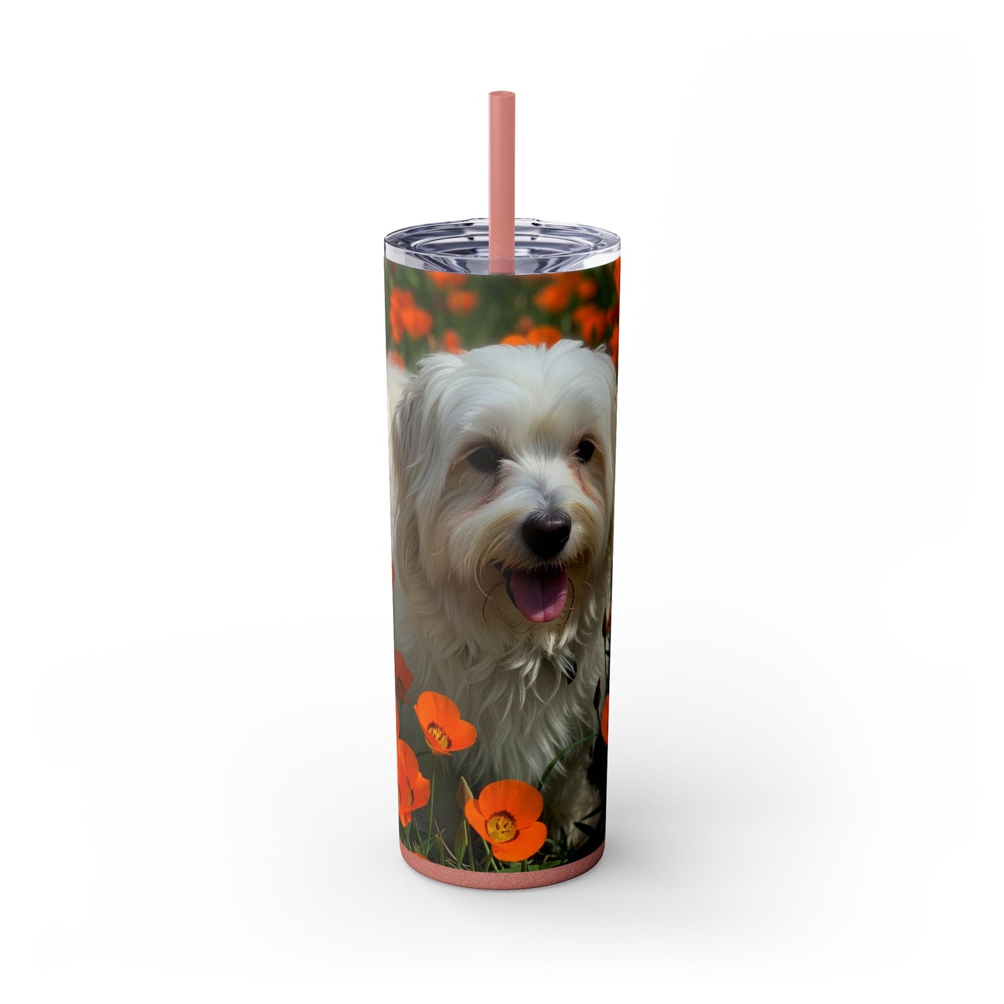 Havanese Tumbler with Straw, 20oz