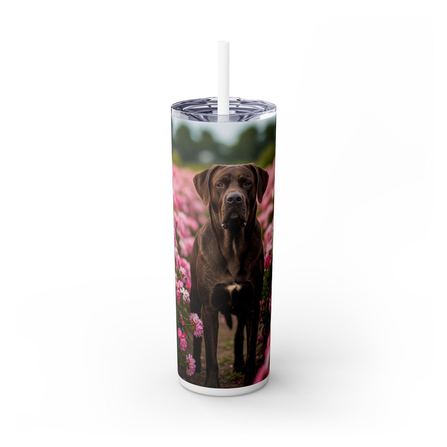 Broholmer Tumbler with Straw, 20oz