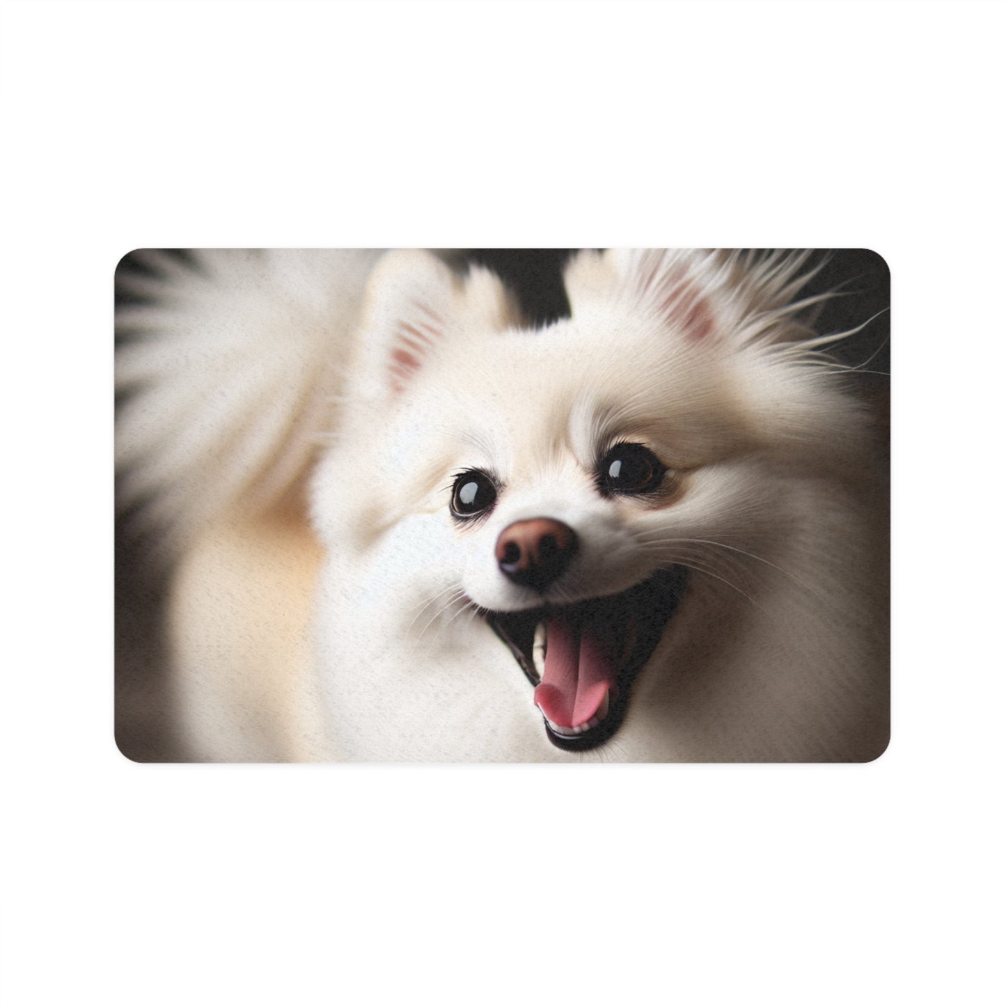 Pet Food Mat (12x18) - Norrbottenspets