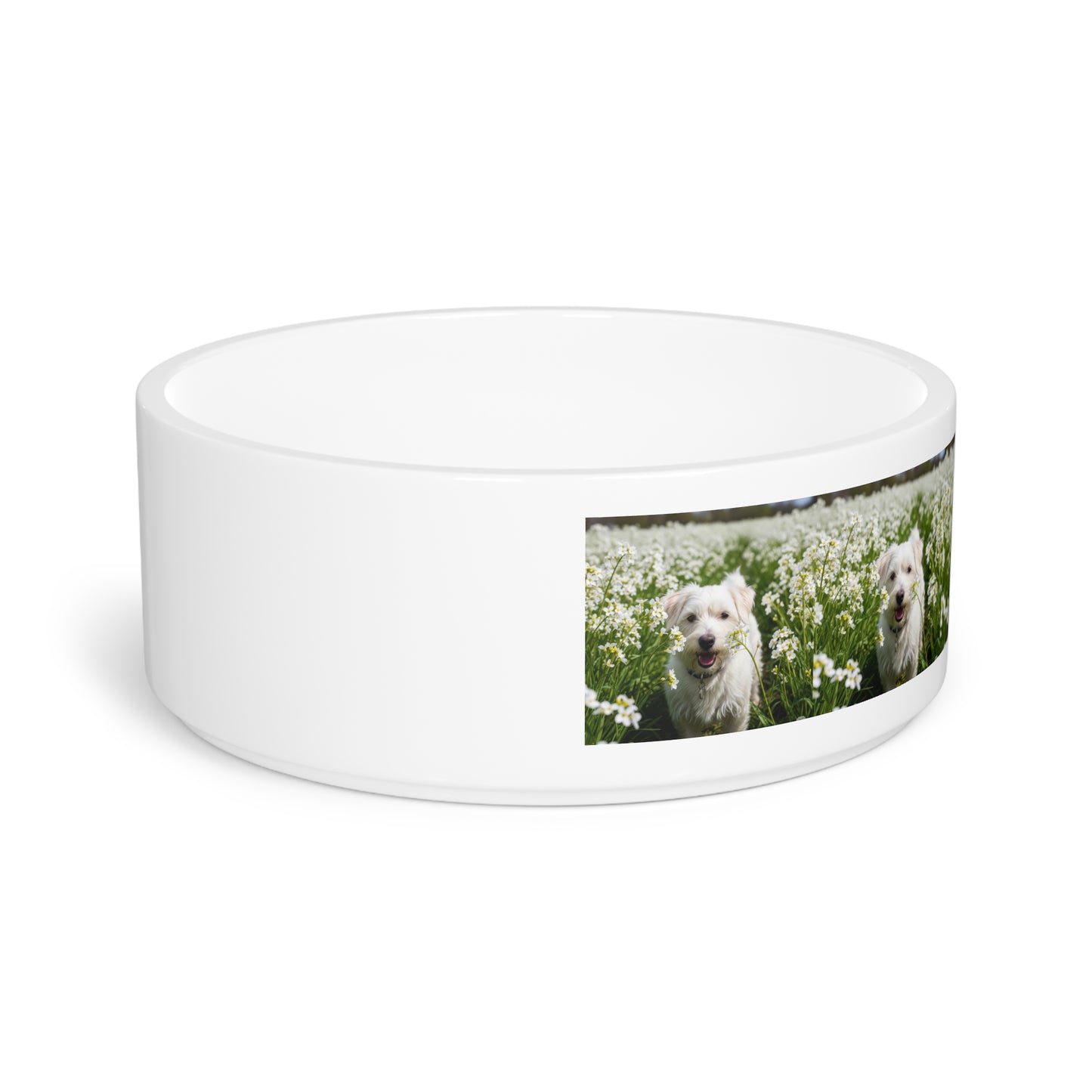 Kromfohrlander Pet Bowl