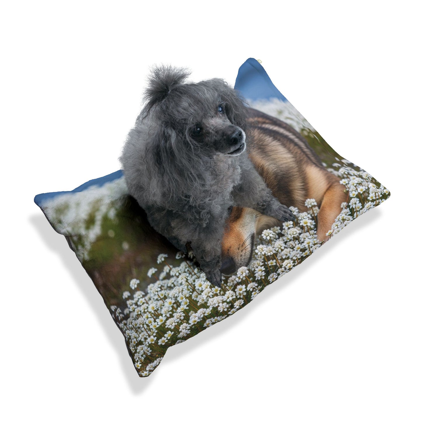Norwegian Lundehund Pet Bed
