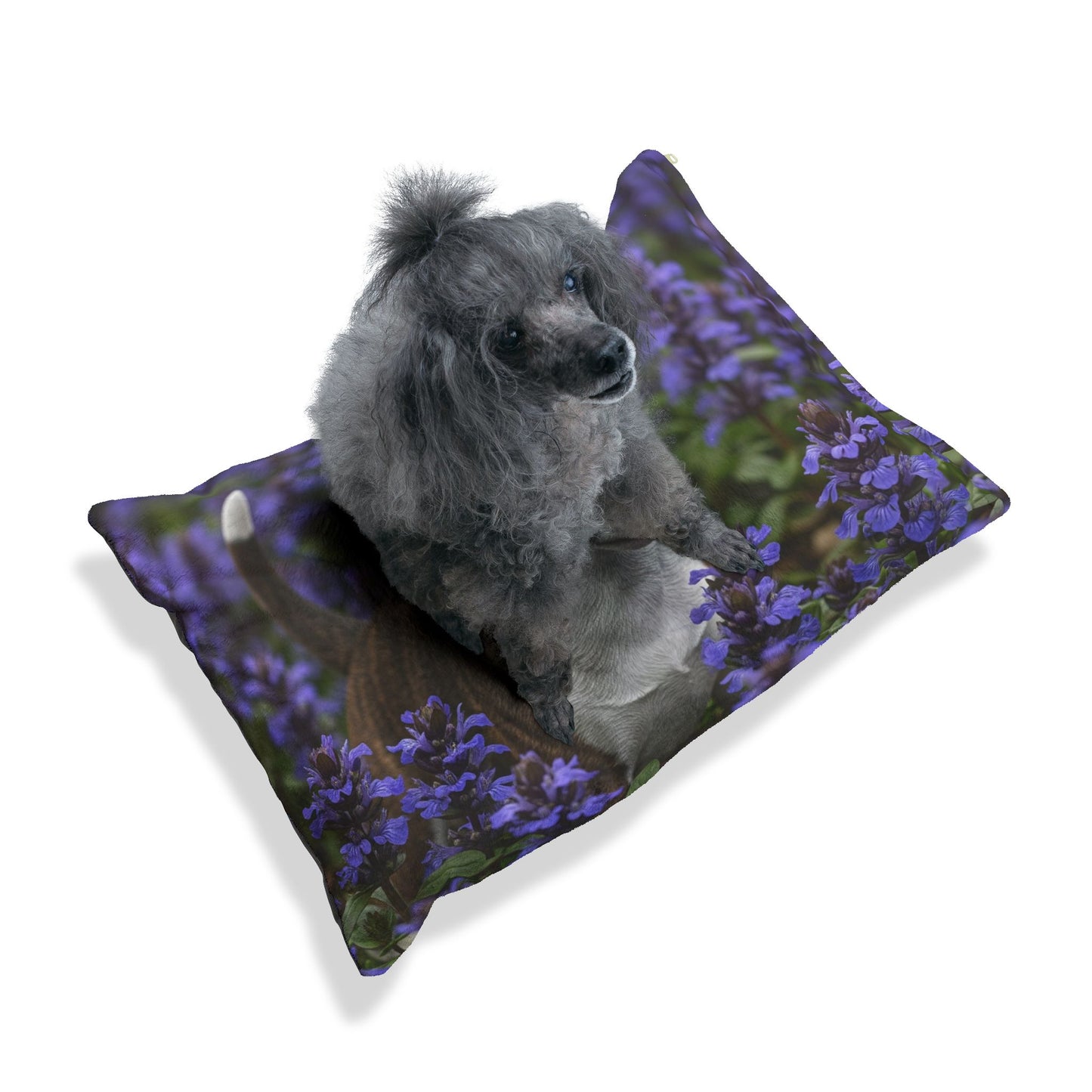 Miniature Bull Terrier Pet Bed
