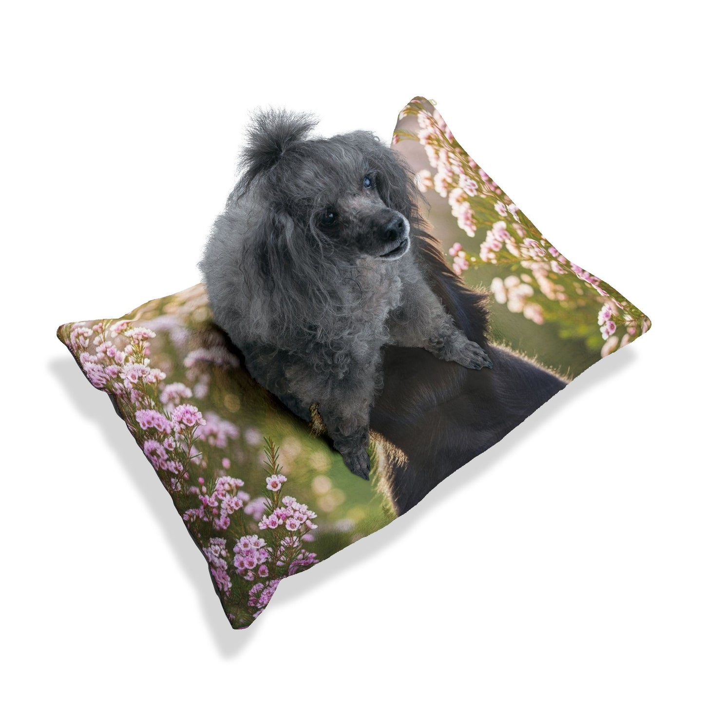 Australian Silky Terrier Pet Bed