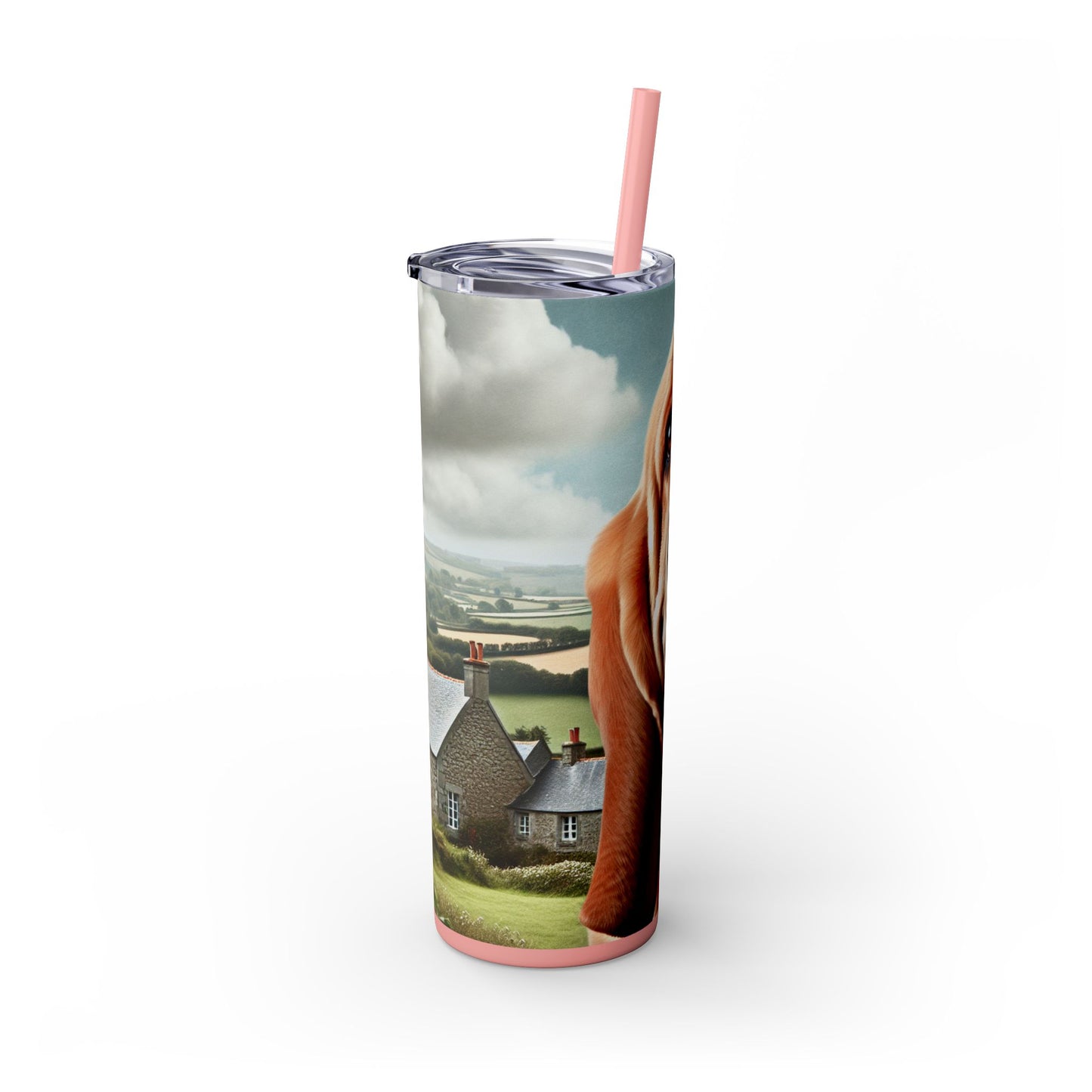 Basset Fauve de Bretagne Tumbler with Straw, 20oz