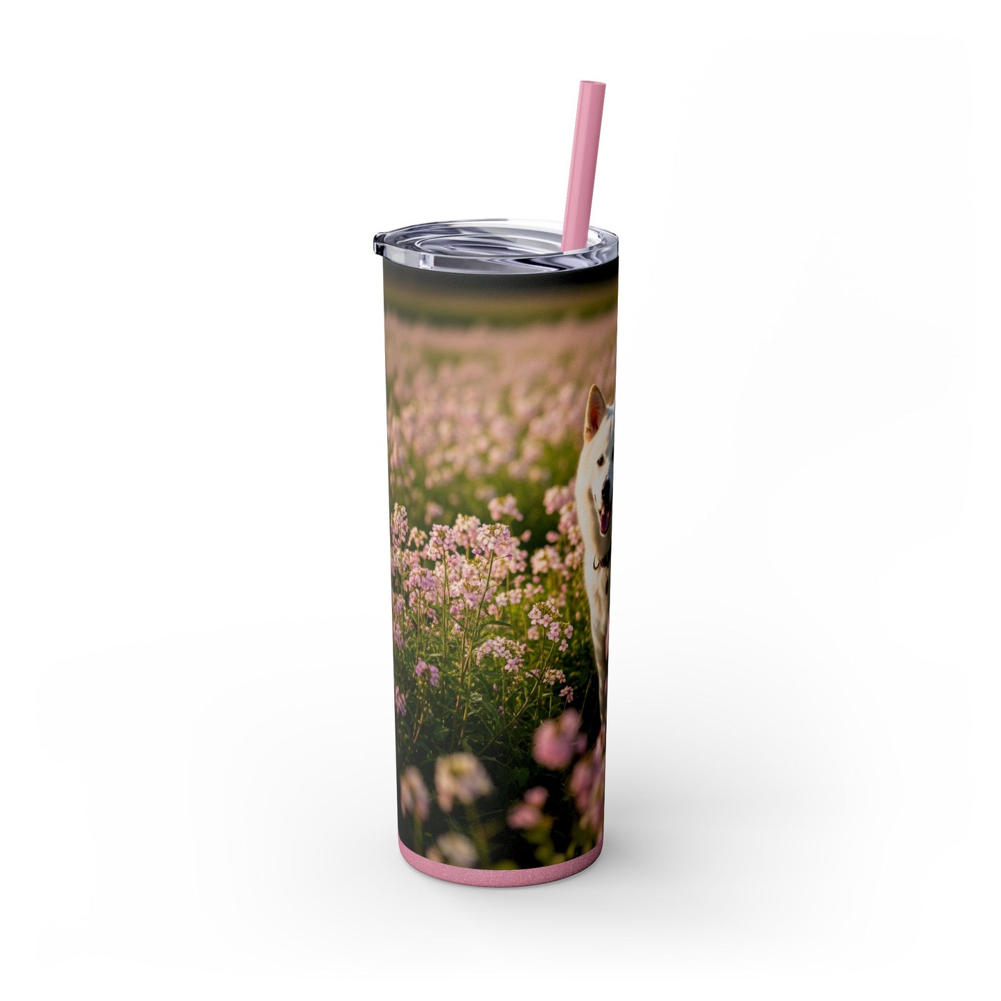 Kishu Ken Tumbler with Straw, 20oz