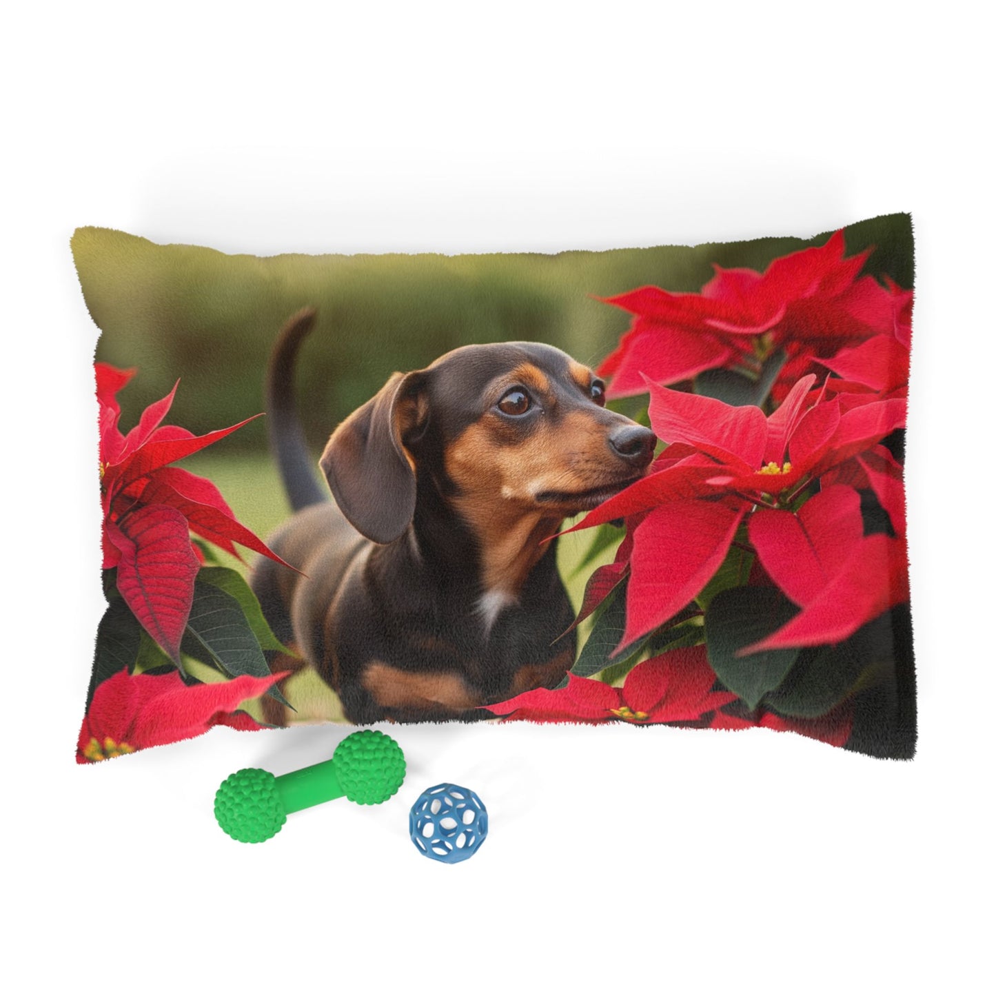 Chiweenie Pet Bed