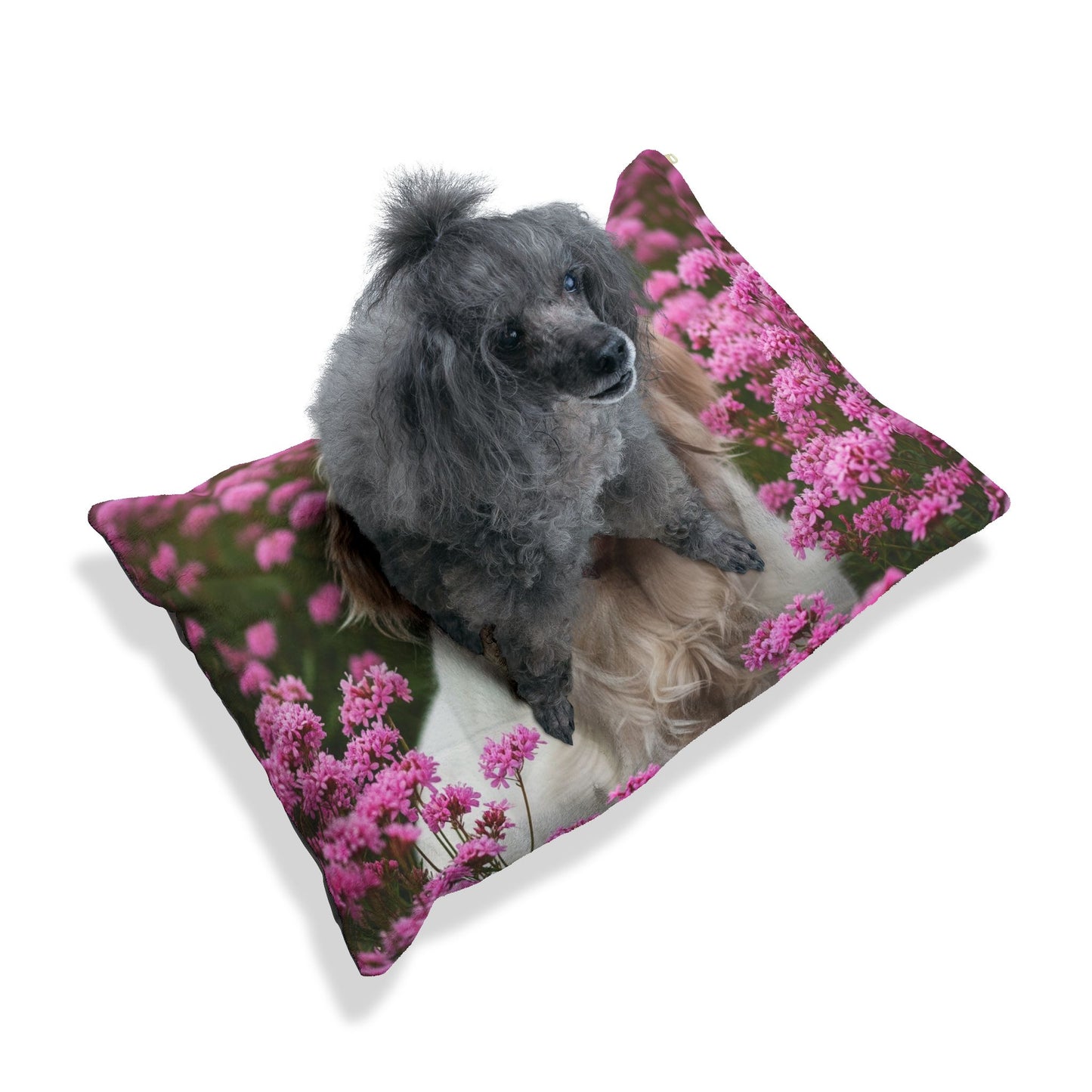 Clumber Spaniel Pet Bed