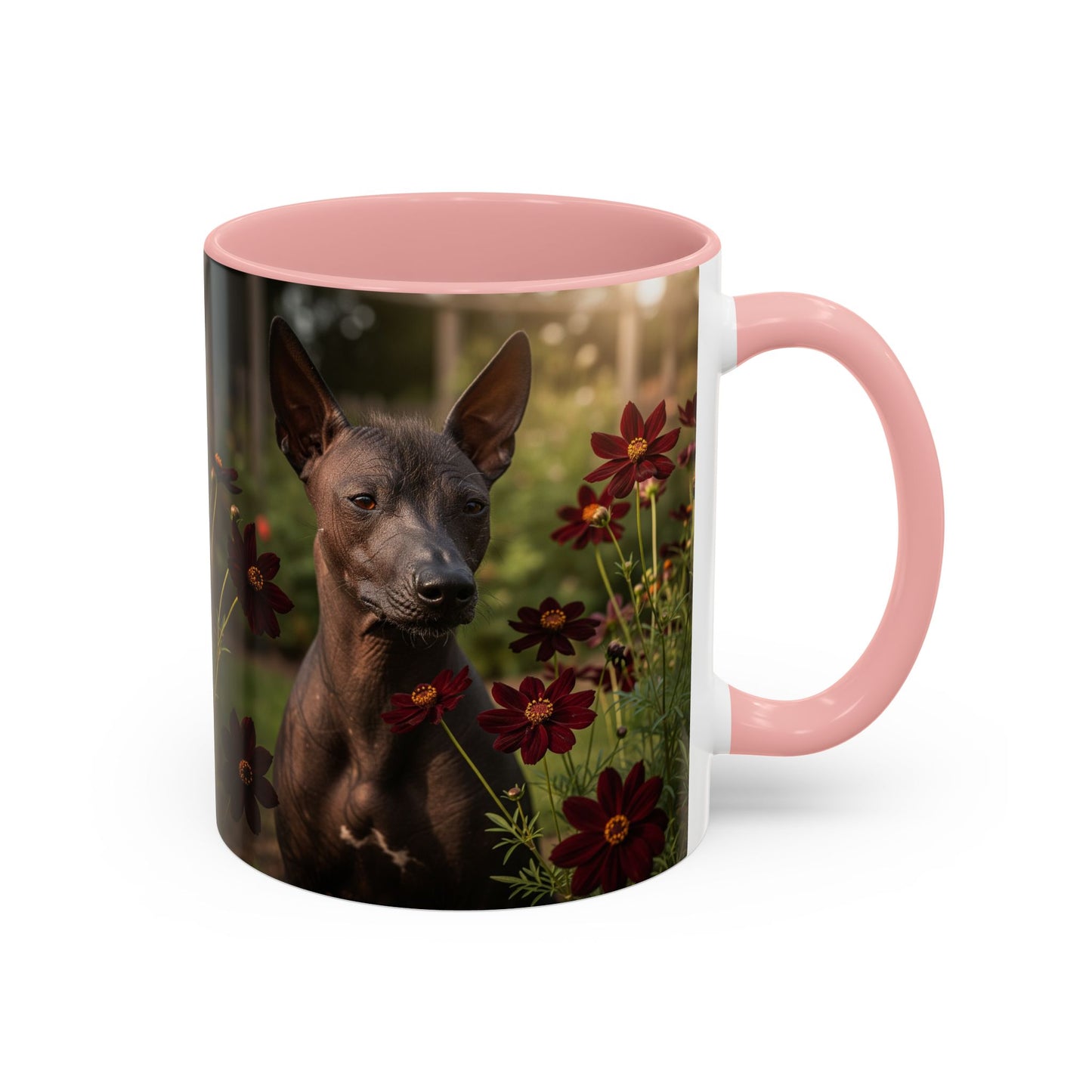 Xoloitzcuintli Accent Coffee Mug - Perfect Gift for Dog Lovers