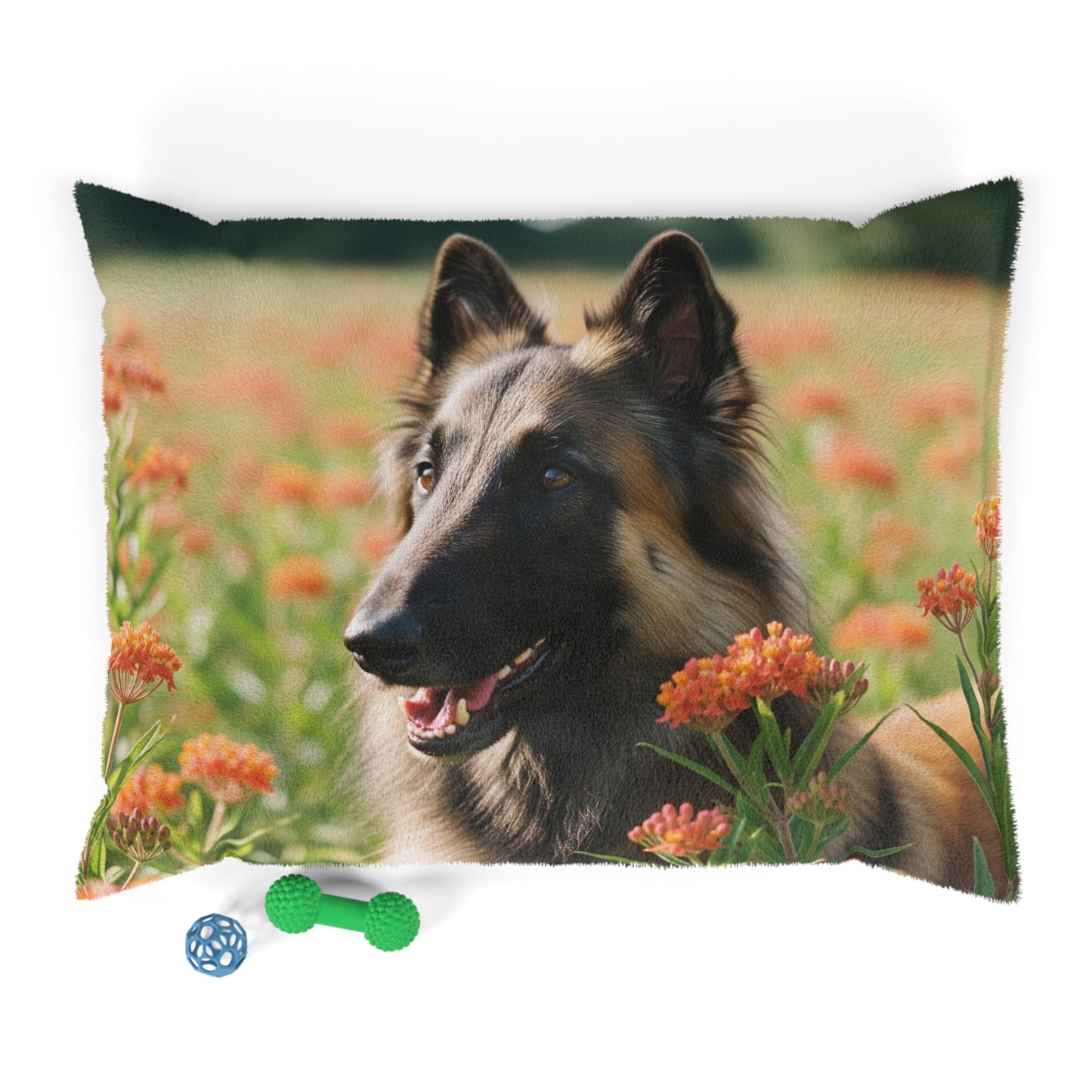 Belgian Tervuren Pet Bed