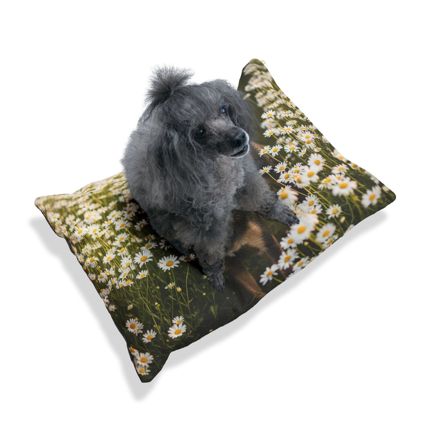 Danish-Swedish Farmdog Pet Bed