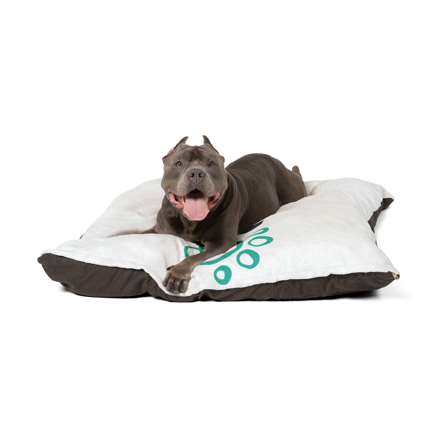 Dog Dad Pet Bed
