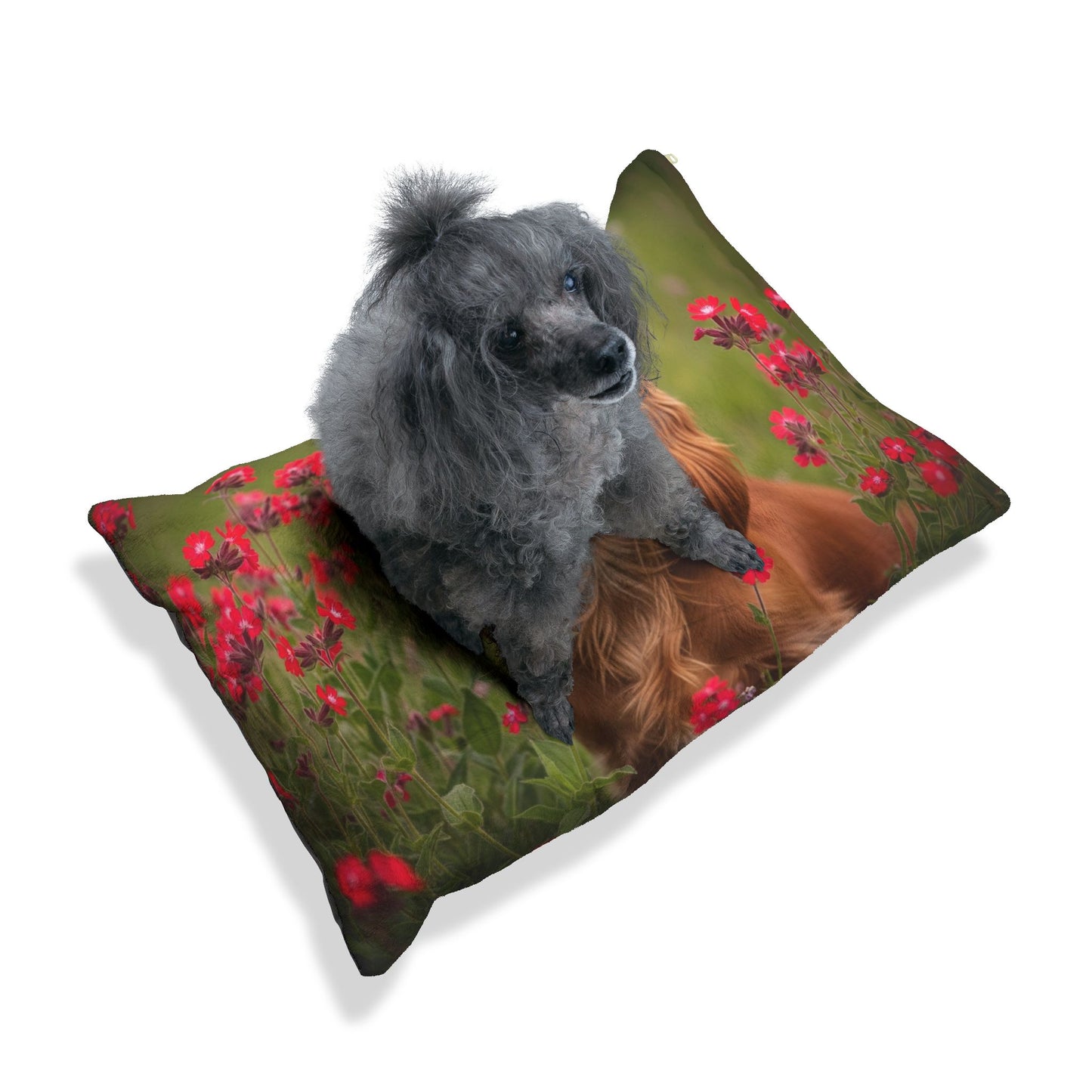 Cocker Spaniel Pet Bed