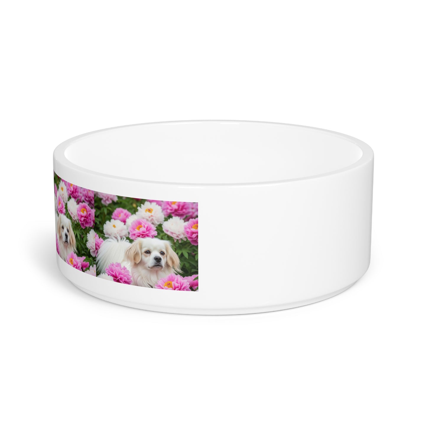 Tibetan Spaniel Pet Bowl