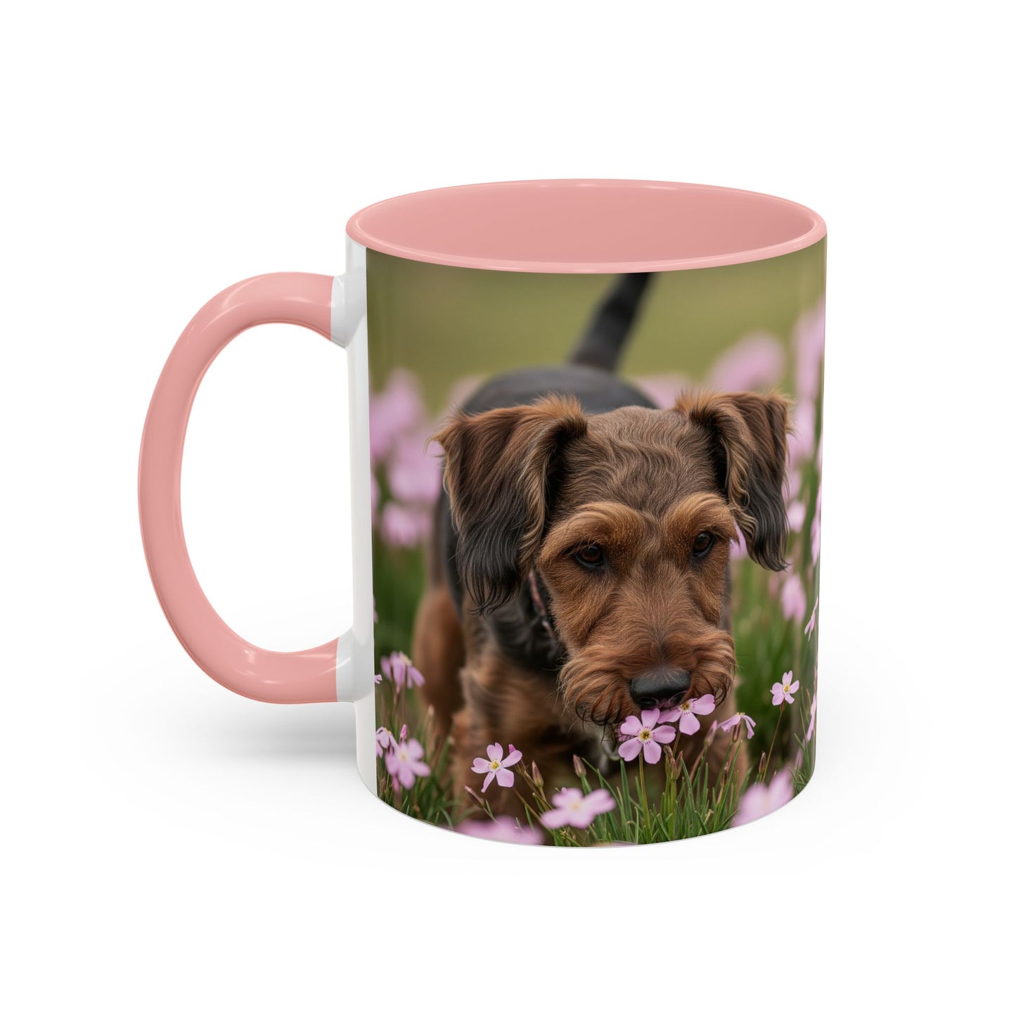 Cesky Terrier Accent Coffee Mug - Perfect Gift for Dog Lovers