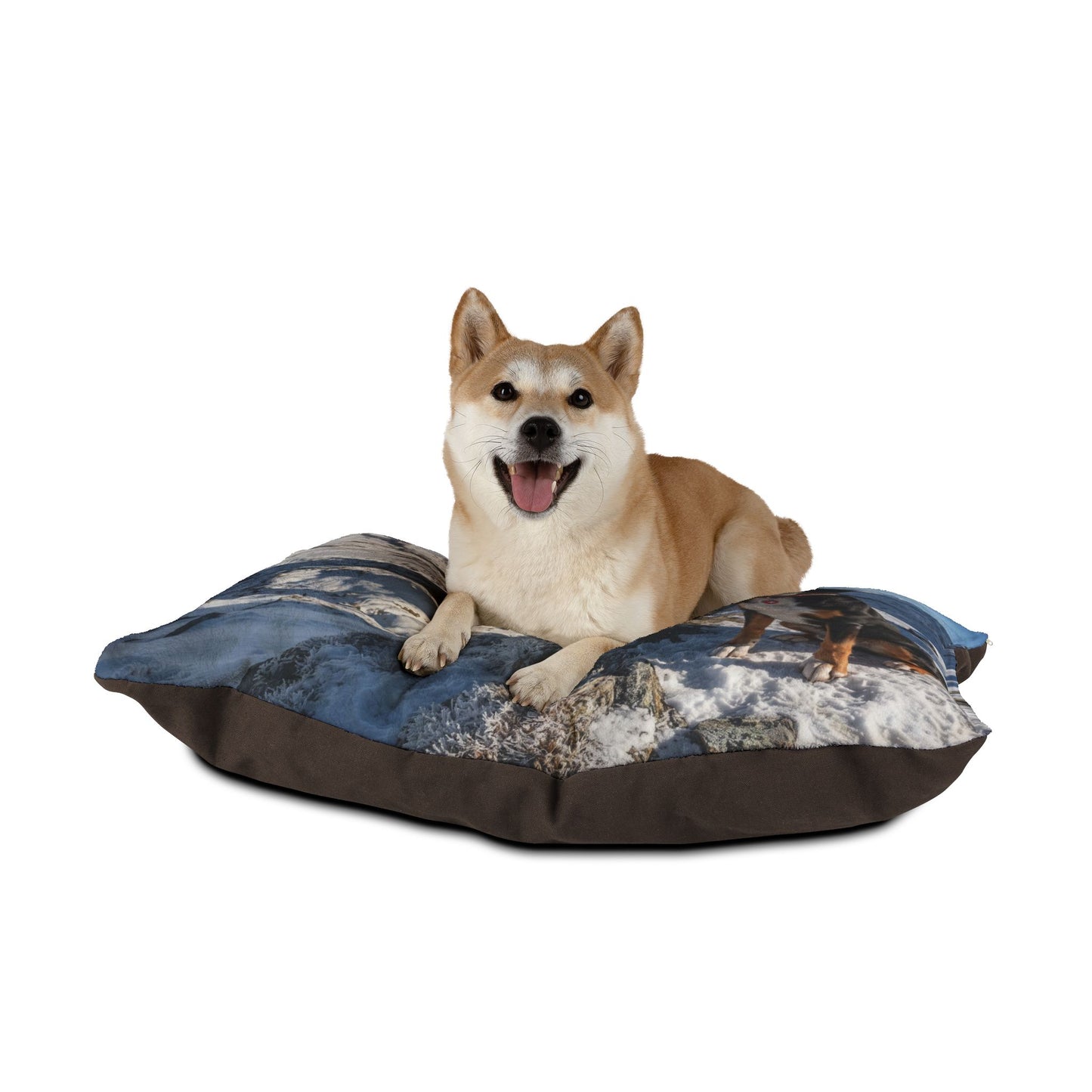 Entlebucher Mountain Dog Pet Bed