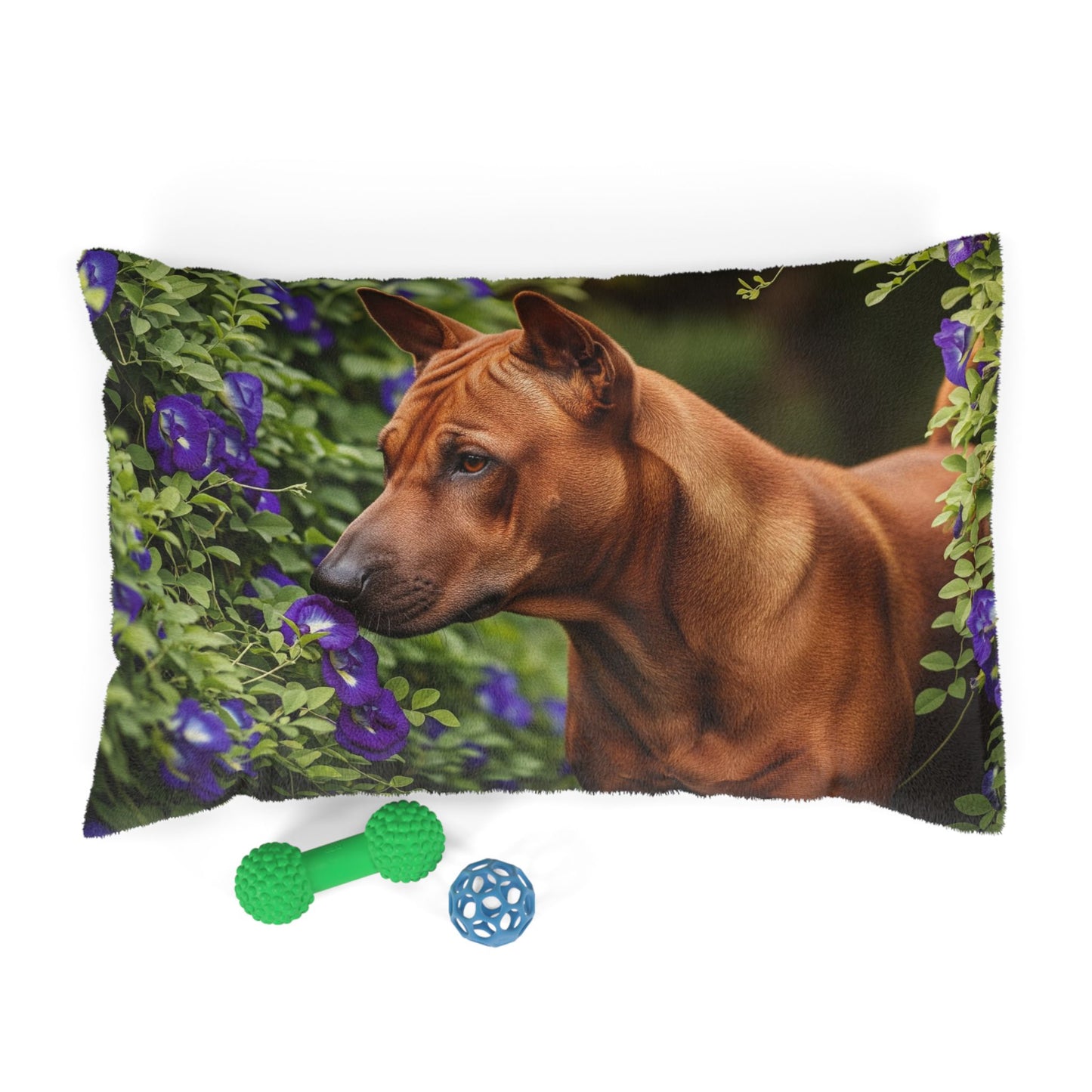 Thai Ridgeback Pet Bed