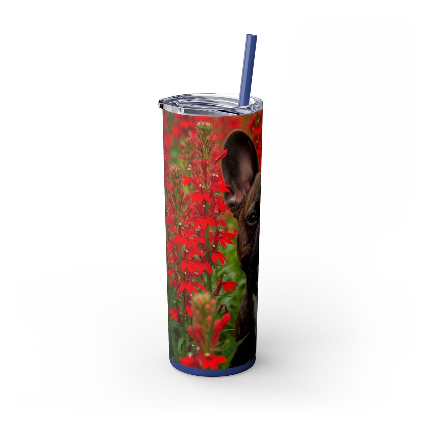 Frenchton Tumbler with Straw, 20oz