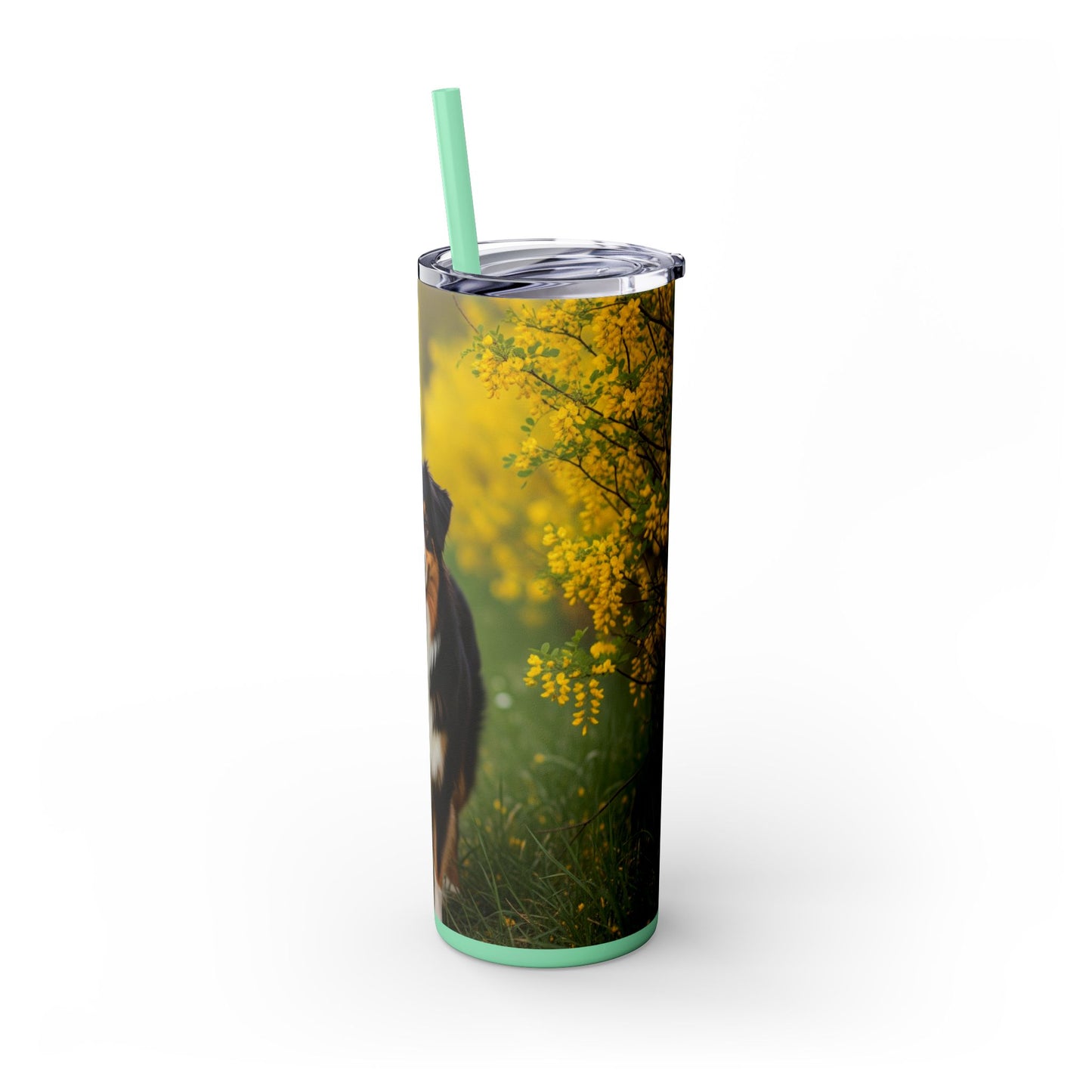 Australian Shepherd Skinny Tumbler with Straw, 20oz