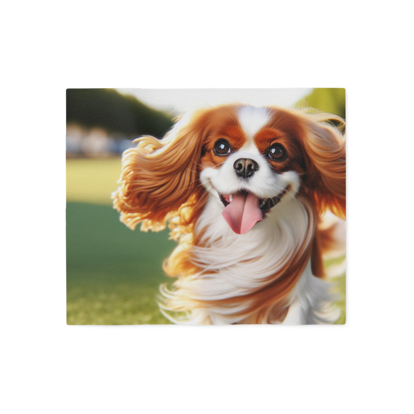 Cavalier King Charles Spaniel Sweatshirt Blanket