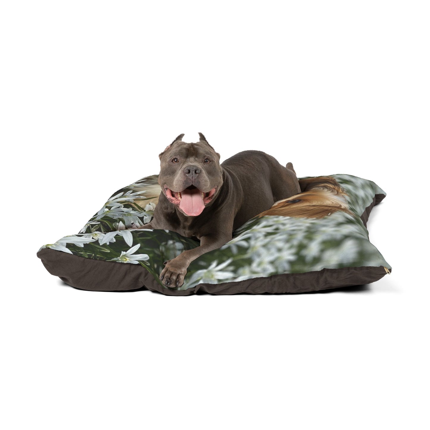 Morkie Pet Bed
