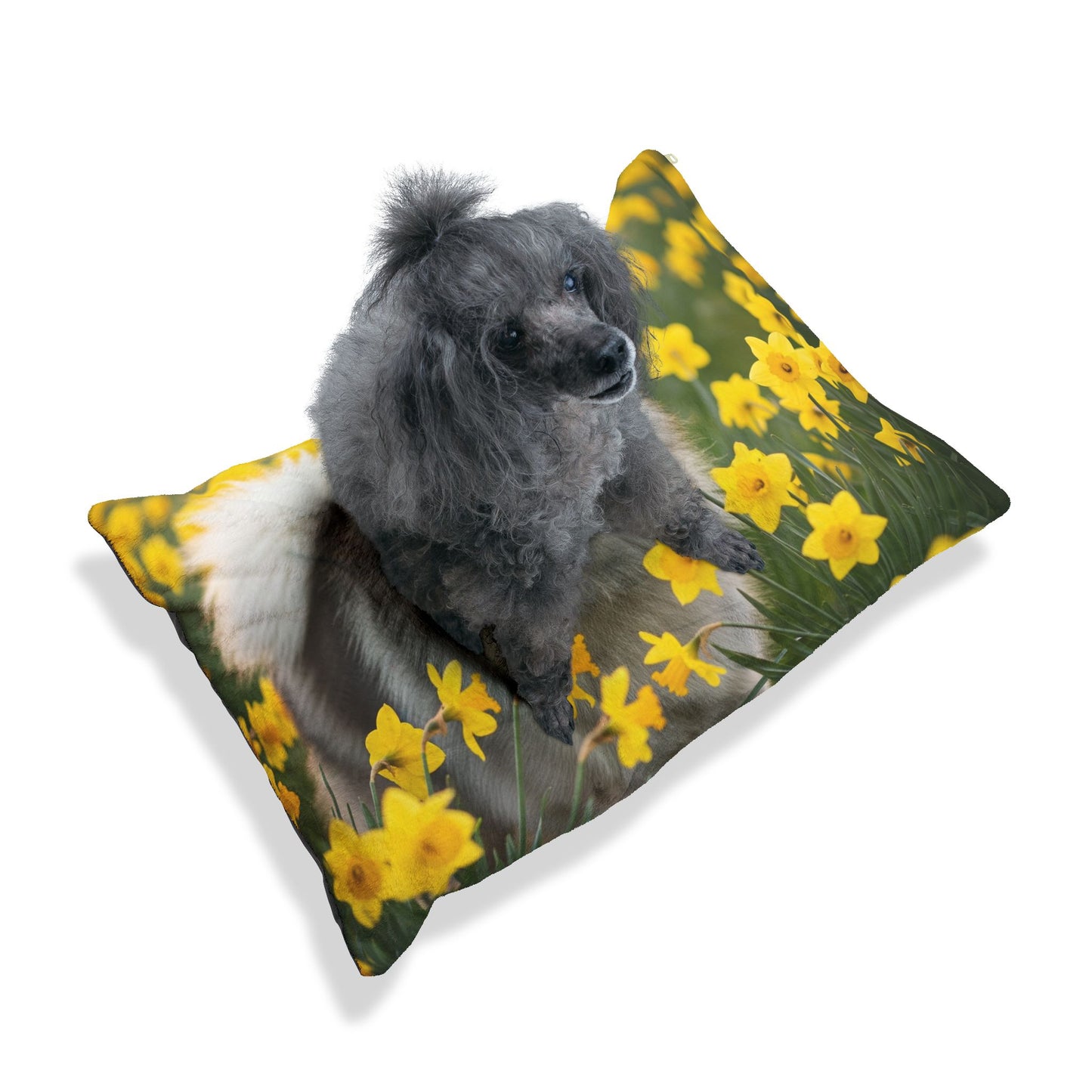Keeshond Pet Bed