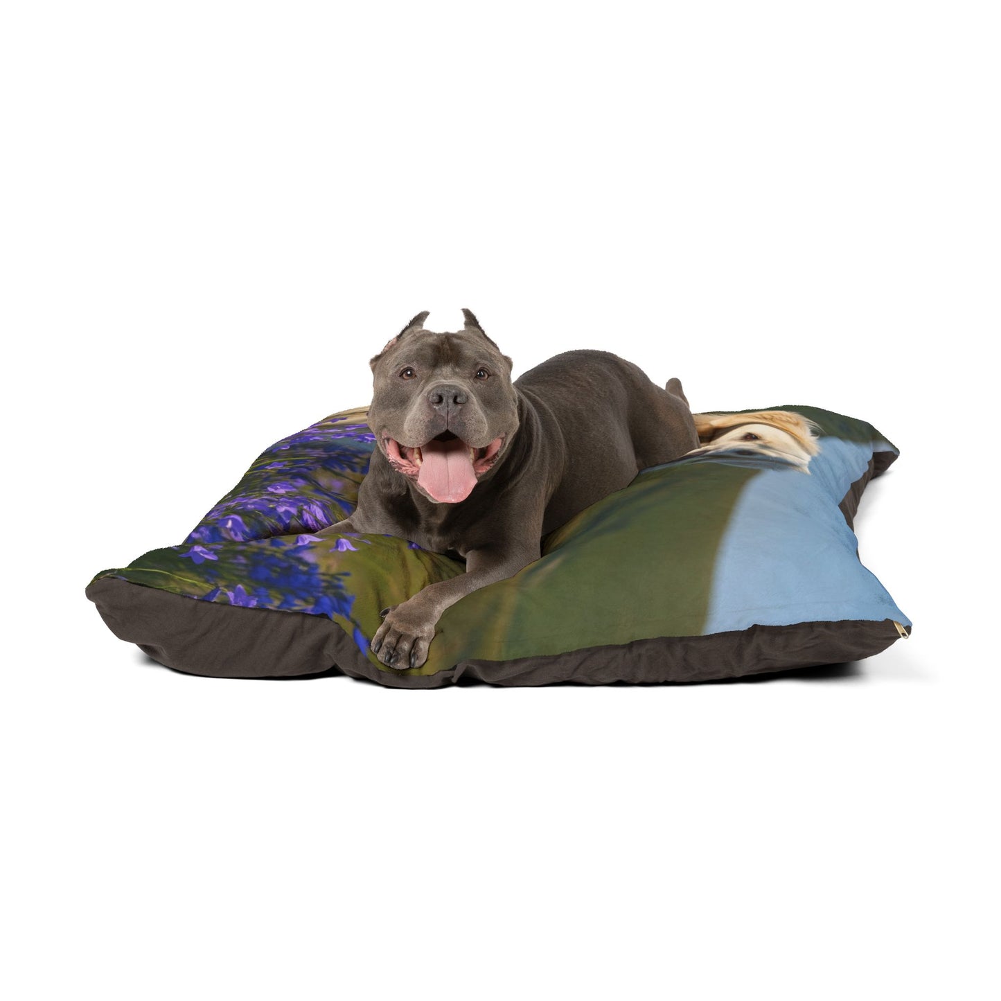 Romanian Carpathian Shepherd Pet Bed