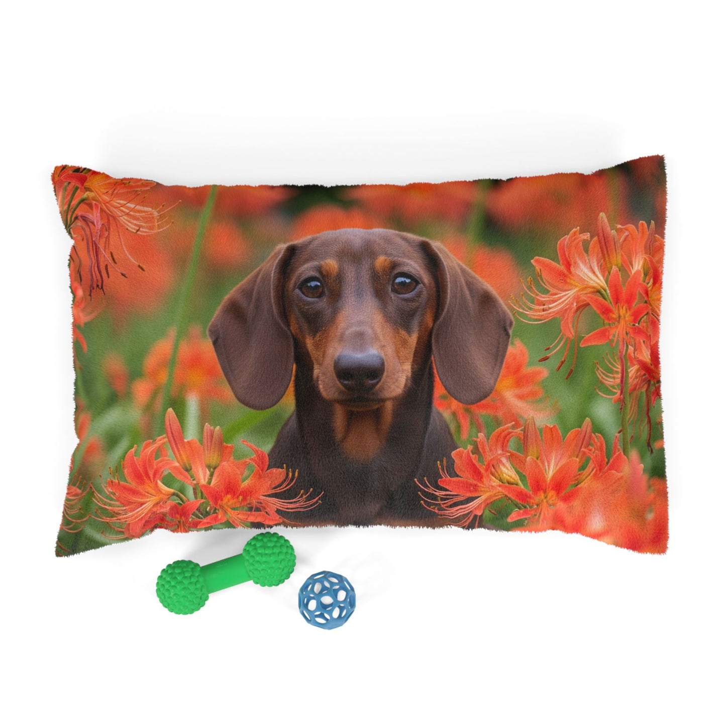 Dachshund Pet Bed