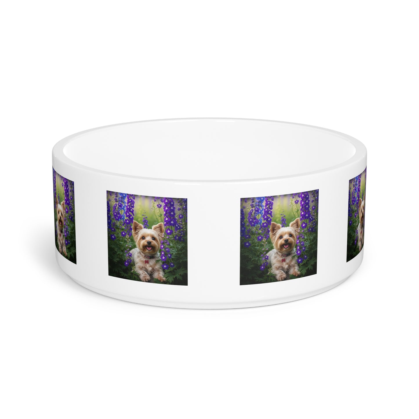 Yorkiepoo Pet Bowl
