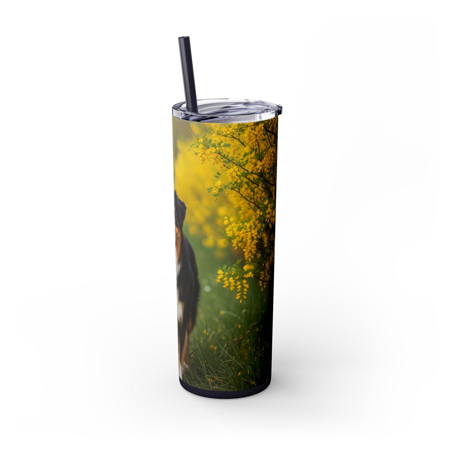Australian Shepherd Skinny Tumbler with Straw, 20oz
