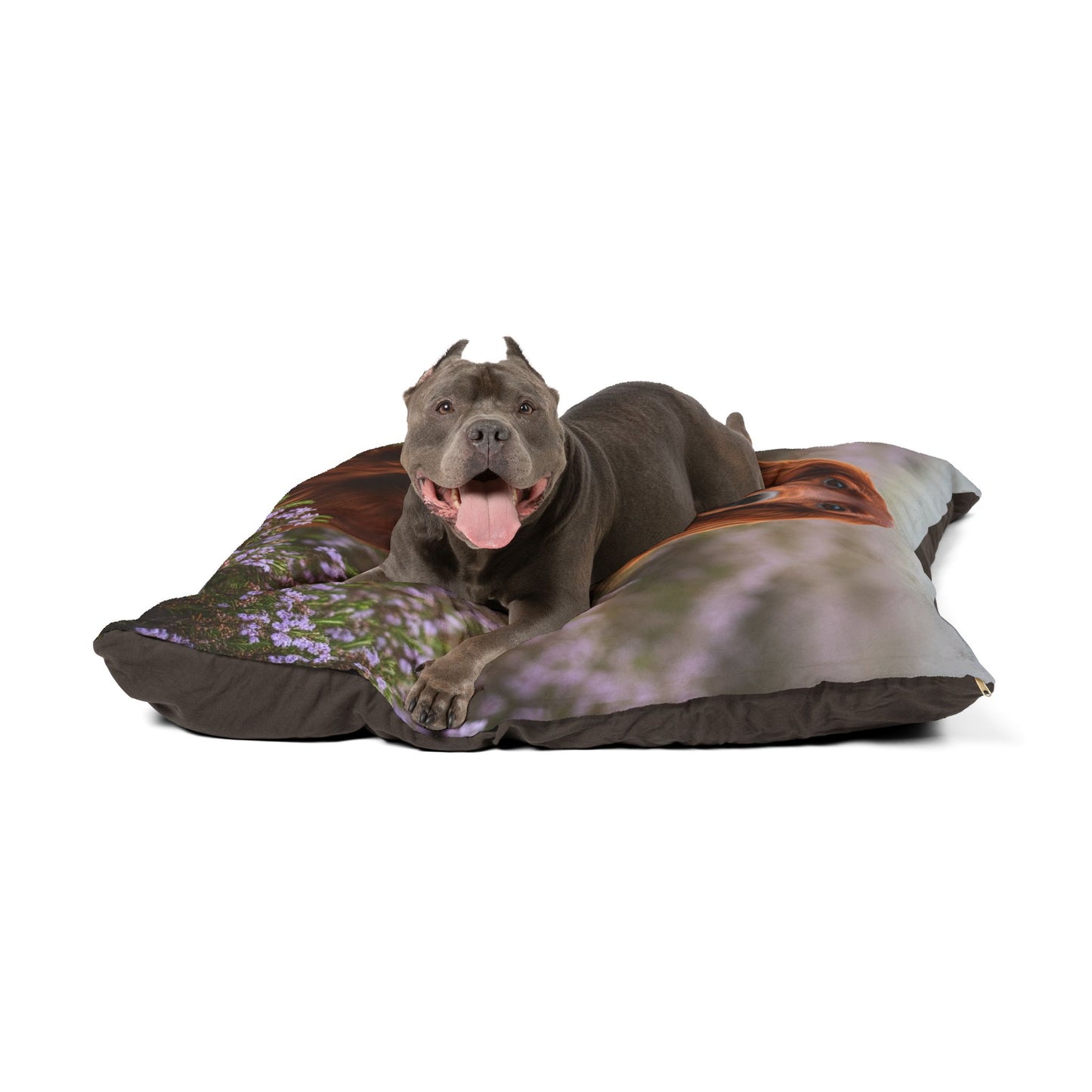Irish Setter Pet Bed