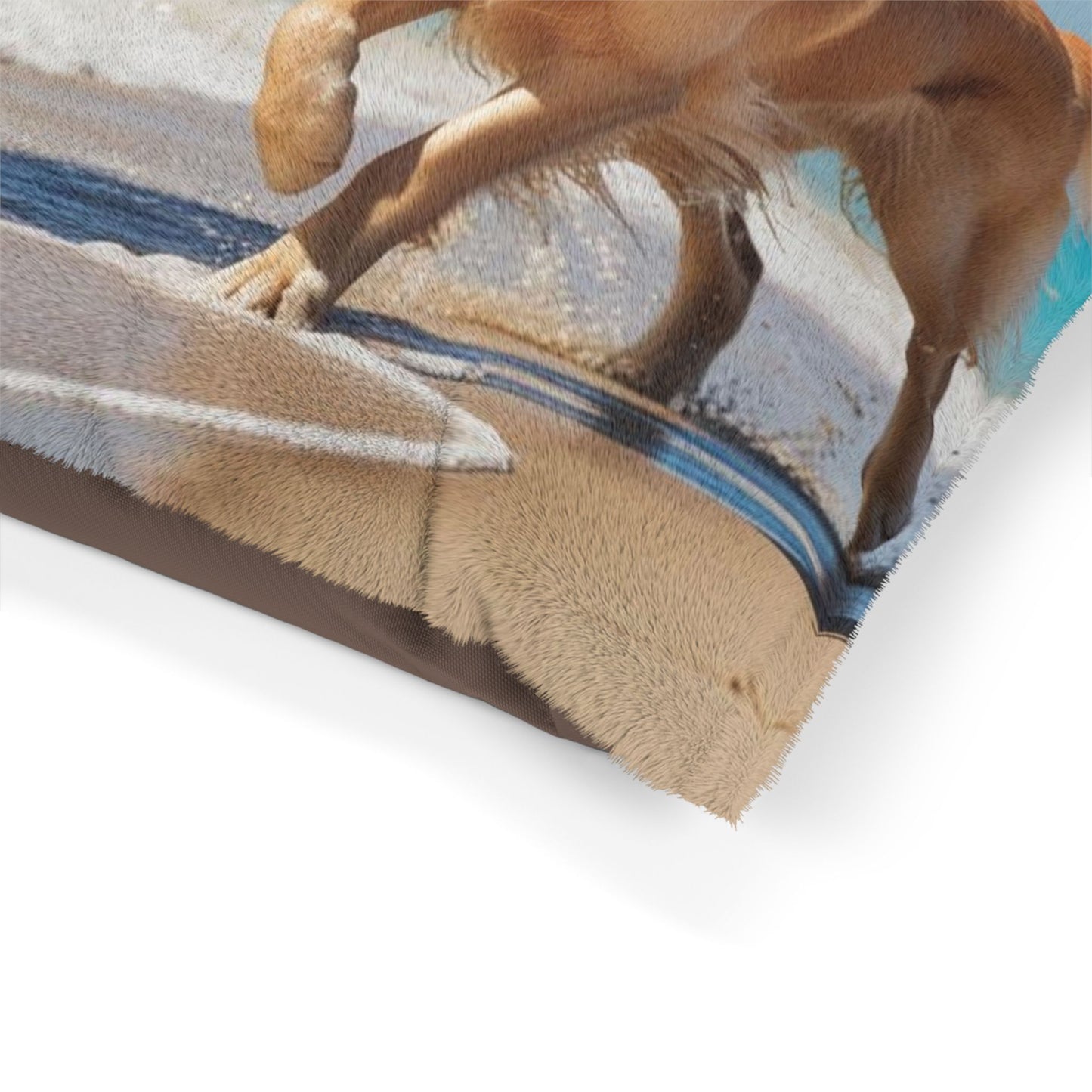 Beach Dogs Pet Bed