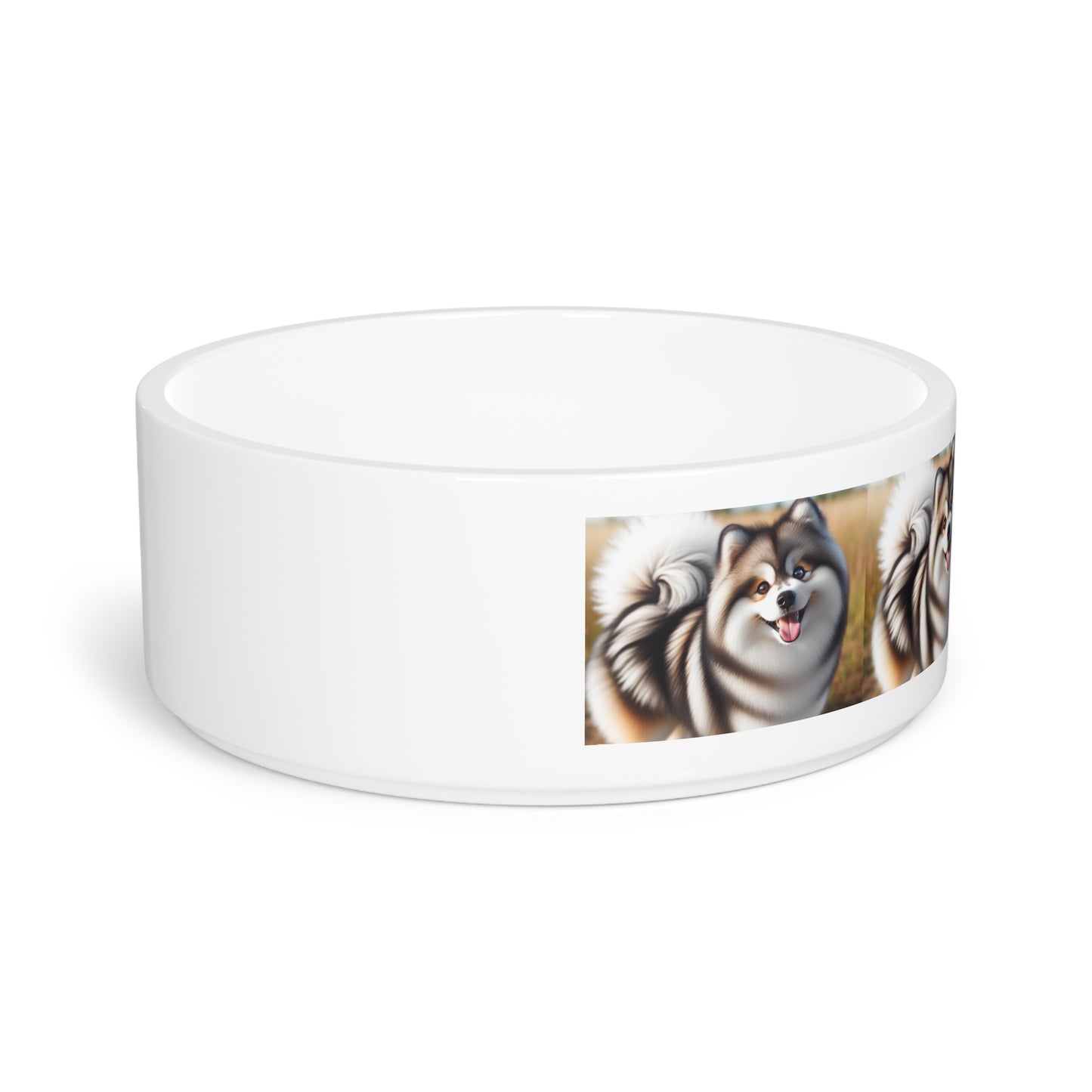 Pomsky Pet Bowl