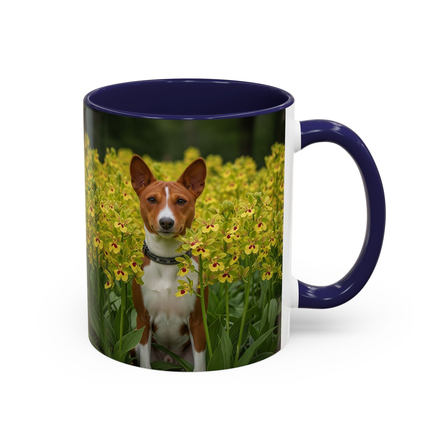 Basenji Accent Coffee Mug - Perfect Gift for Dog Lovers